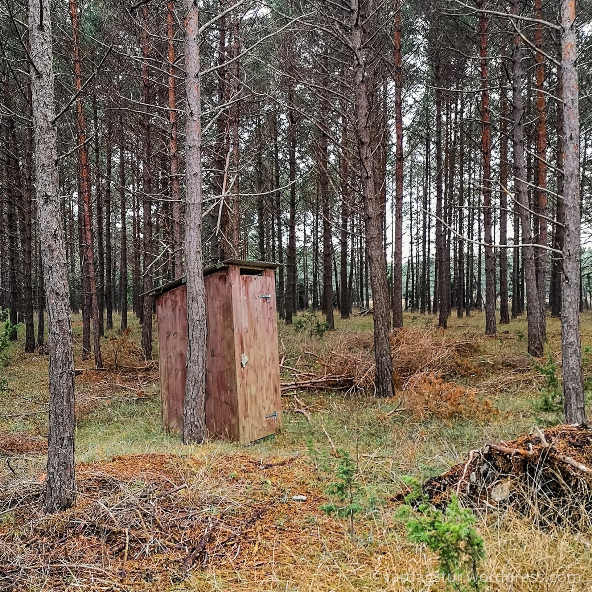 wp-16358604365902045248906458097948