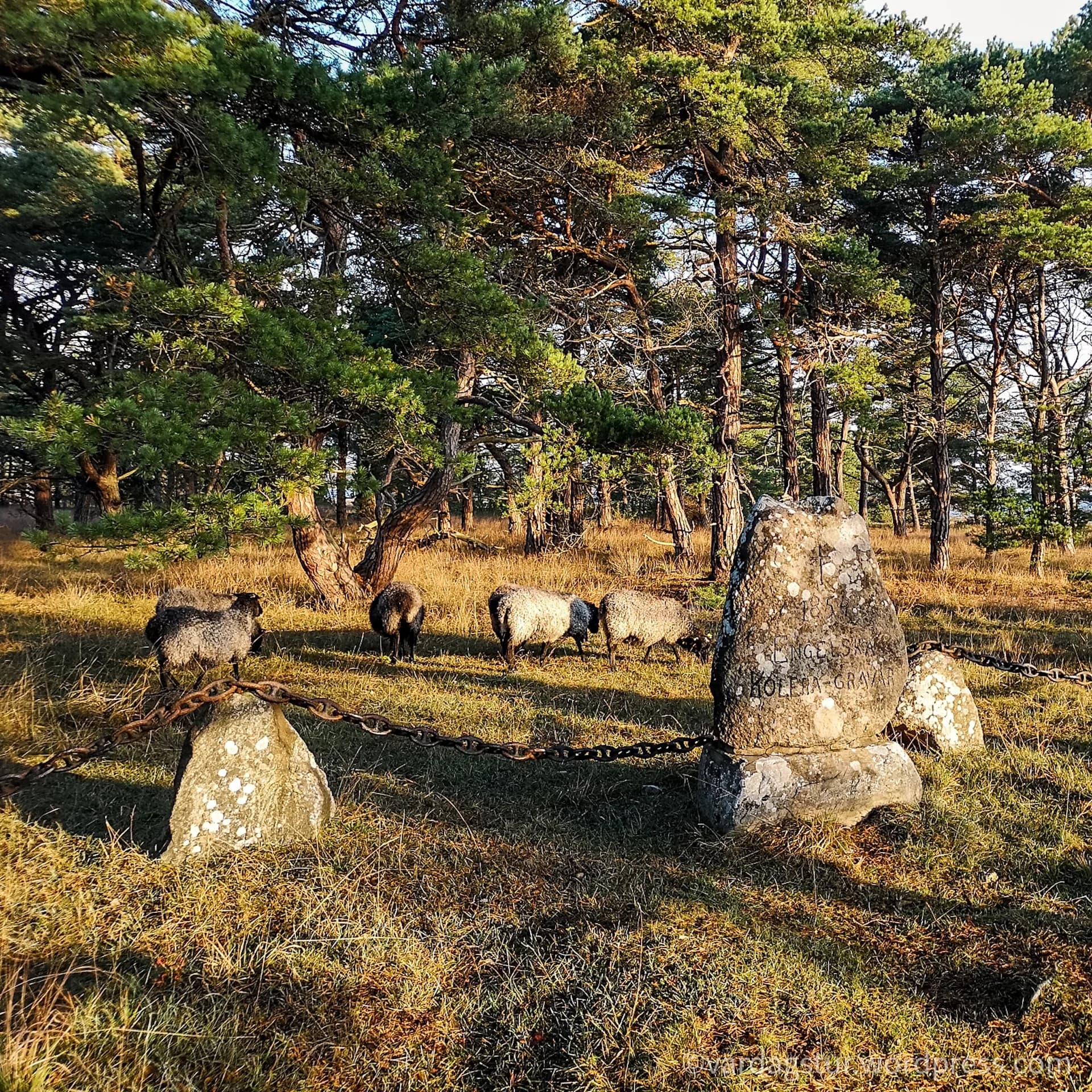 wp-16358604346656934286284354889641