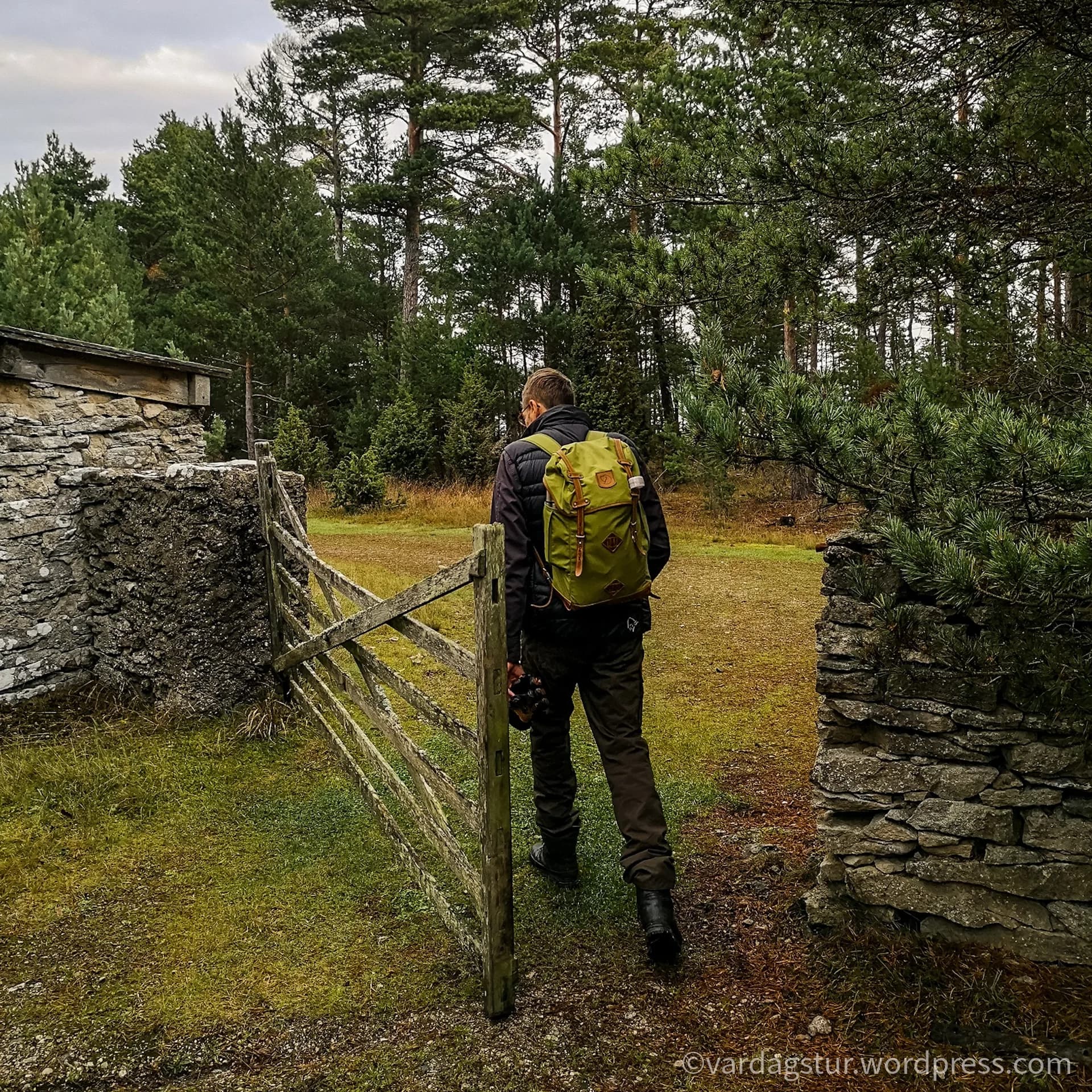 wp-16358604377551335453381116759630