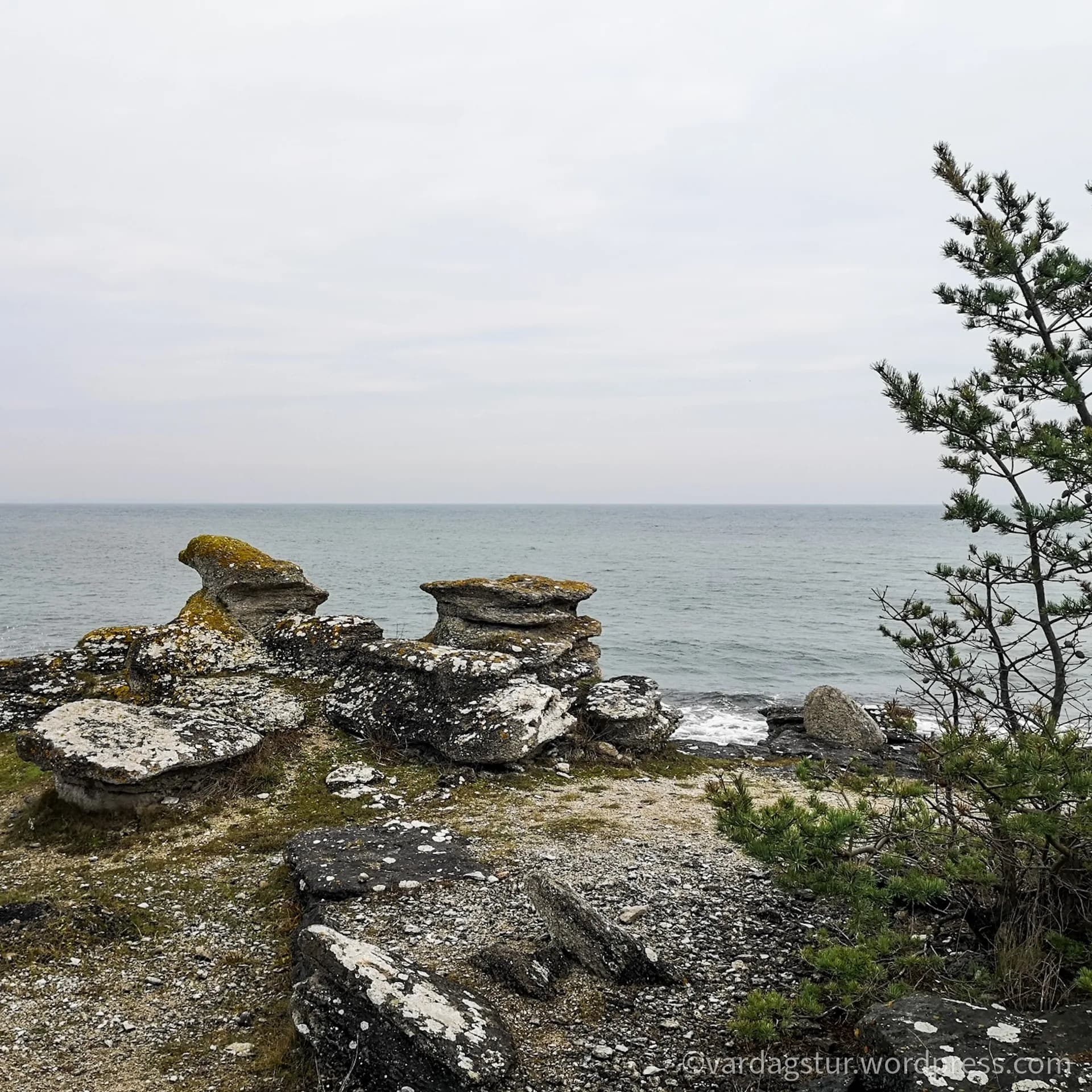 wp-16358604384137246300329297594257