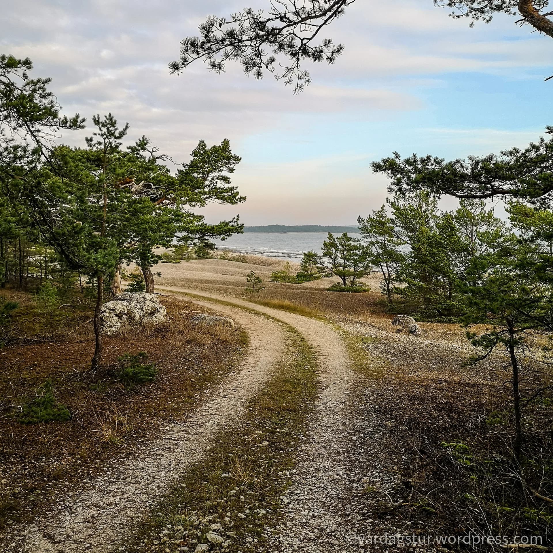 wp-16358604389323322369118400446306