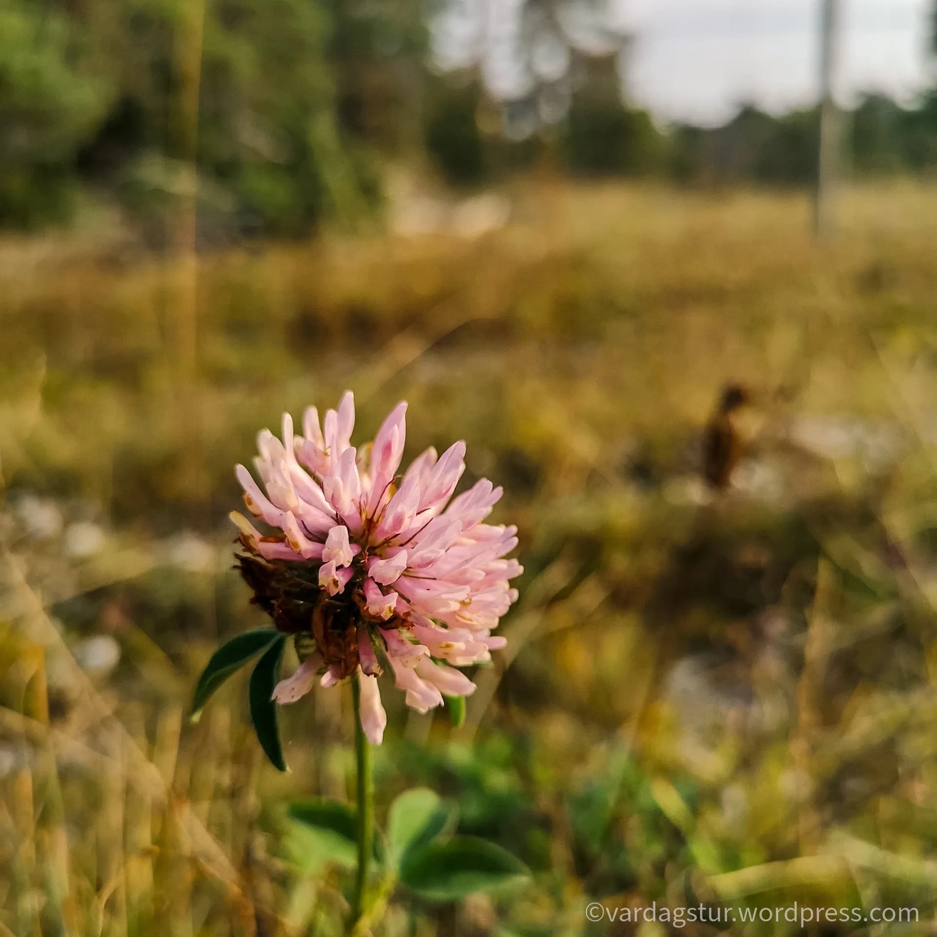 wp-16358737094016381415287970531715