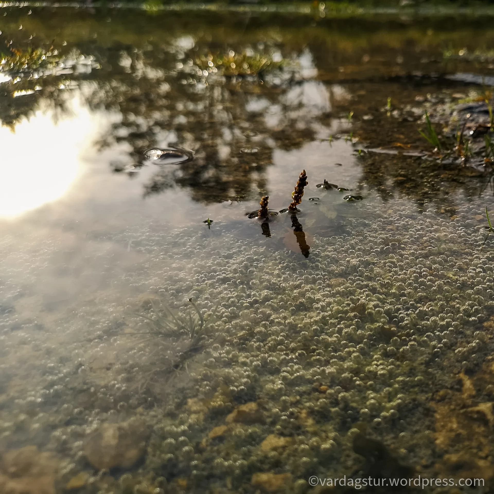 wp-16358737096737244335847117271639