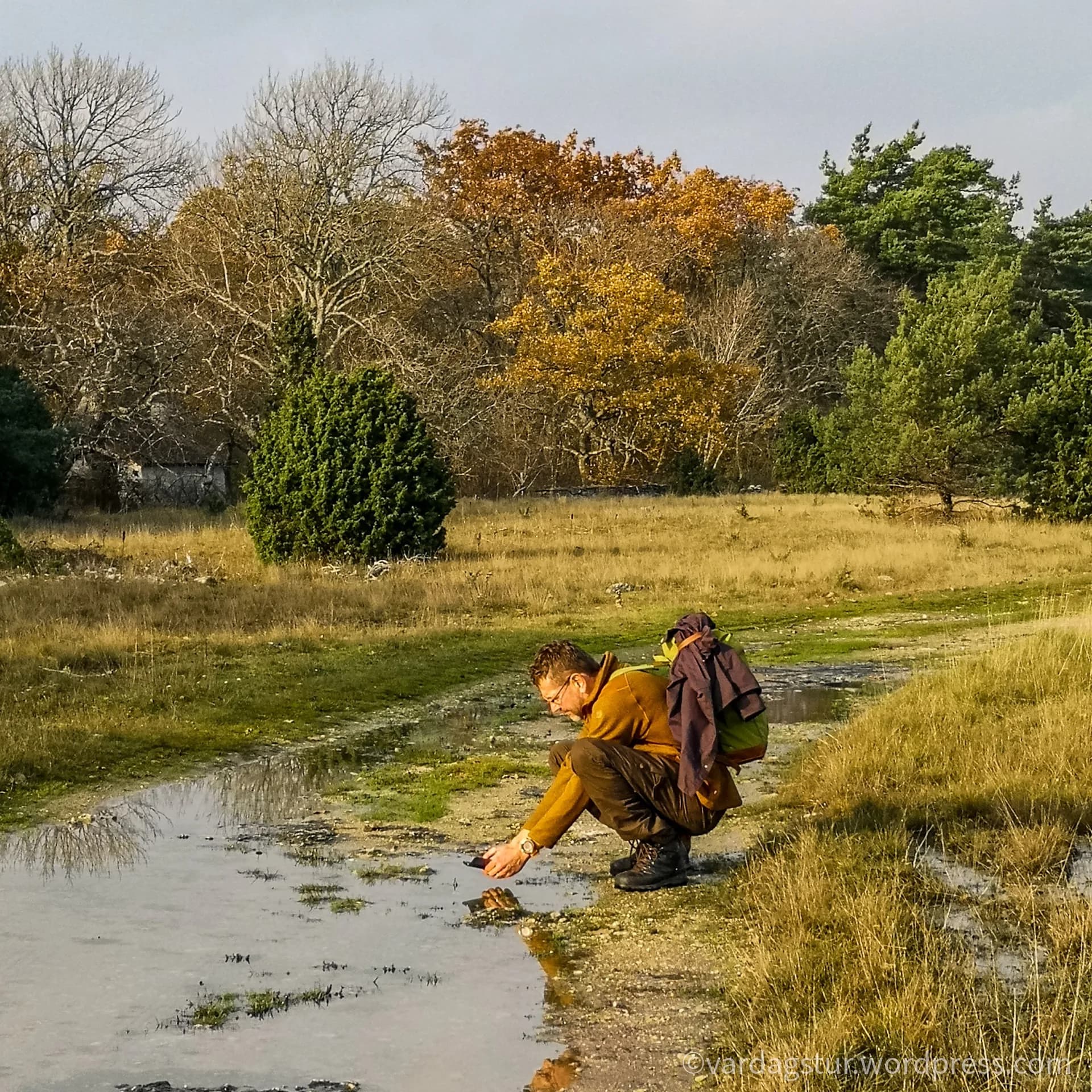 wp-16358737091448682895955331563130