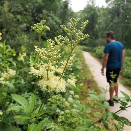 1-IMG_20200705_131653