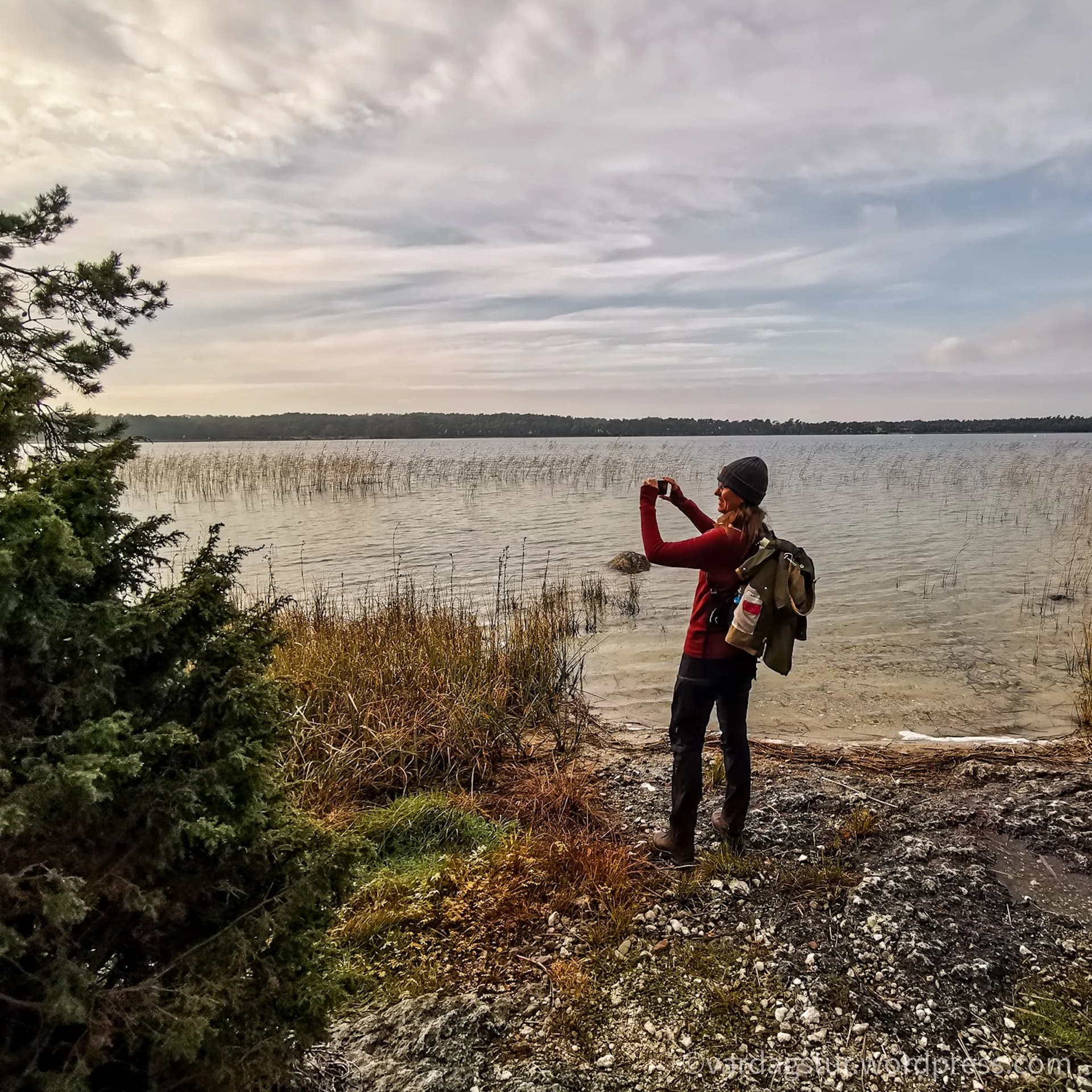 wp-16358737106235339398889583215873