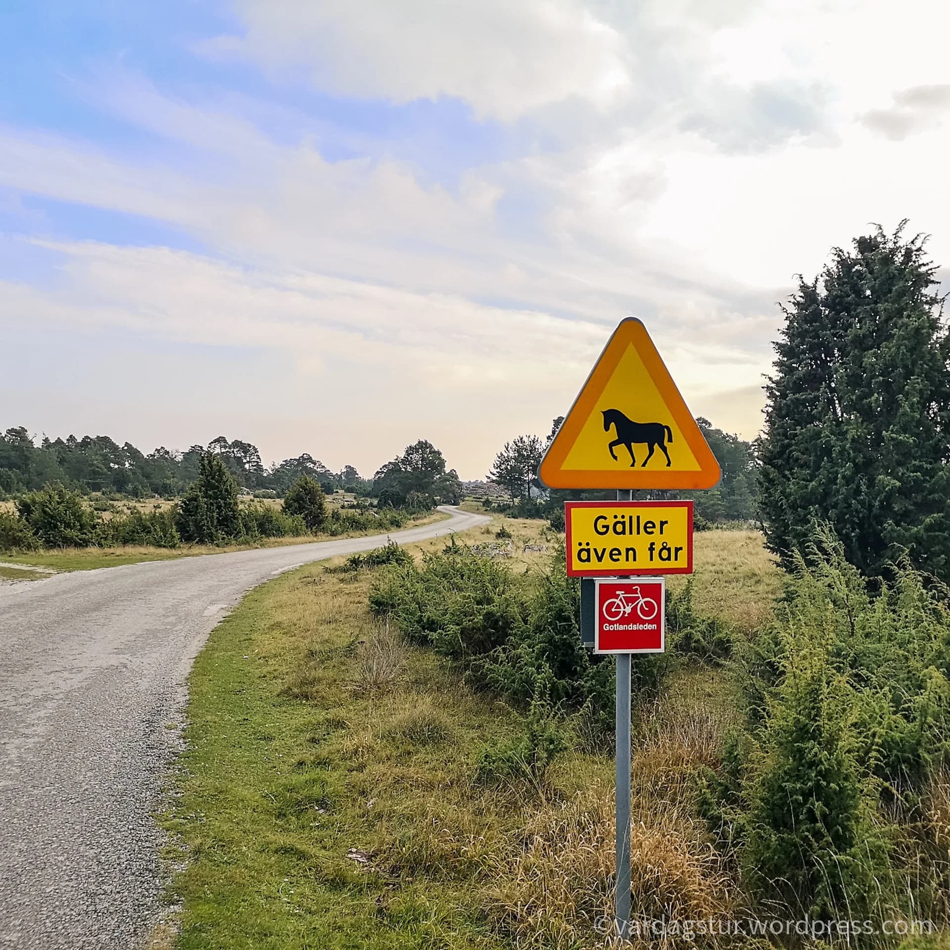 wp-16358737110876105047880925645590