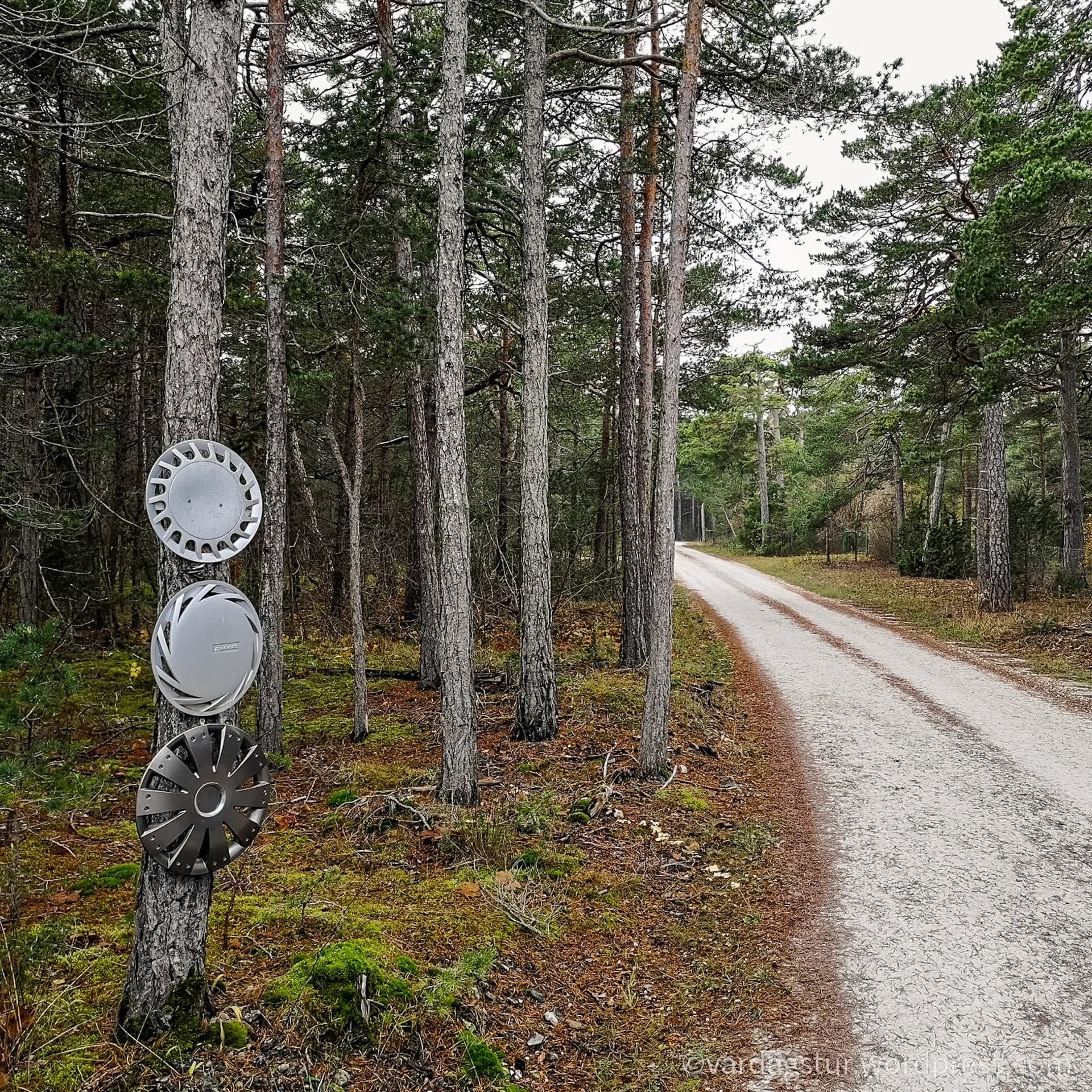 wp-16358737113829074049840991310030