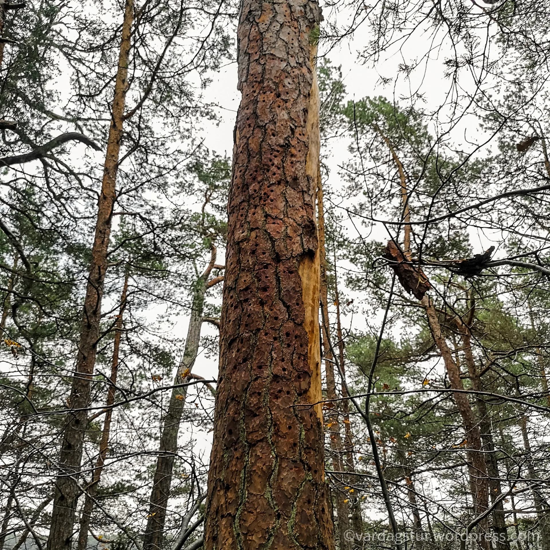 wp-16358737120304866625337624034160