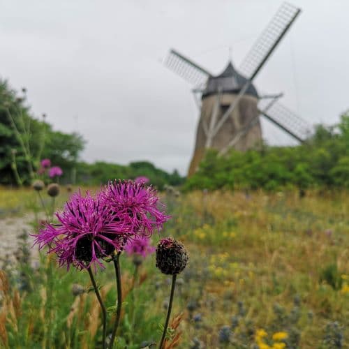 1-IMG_20200705_130217