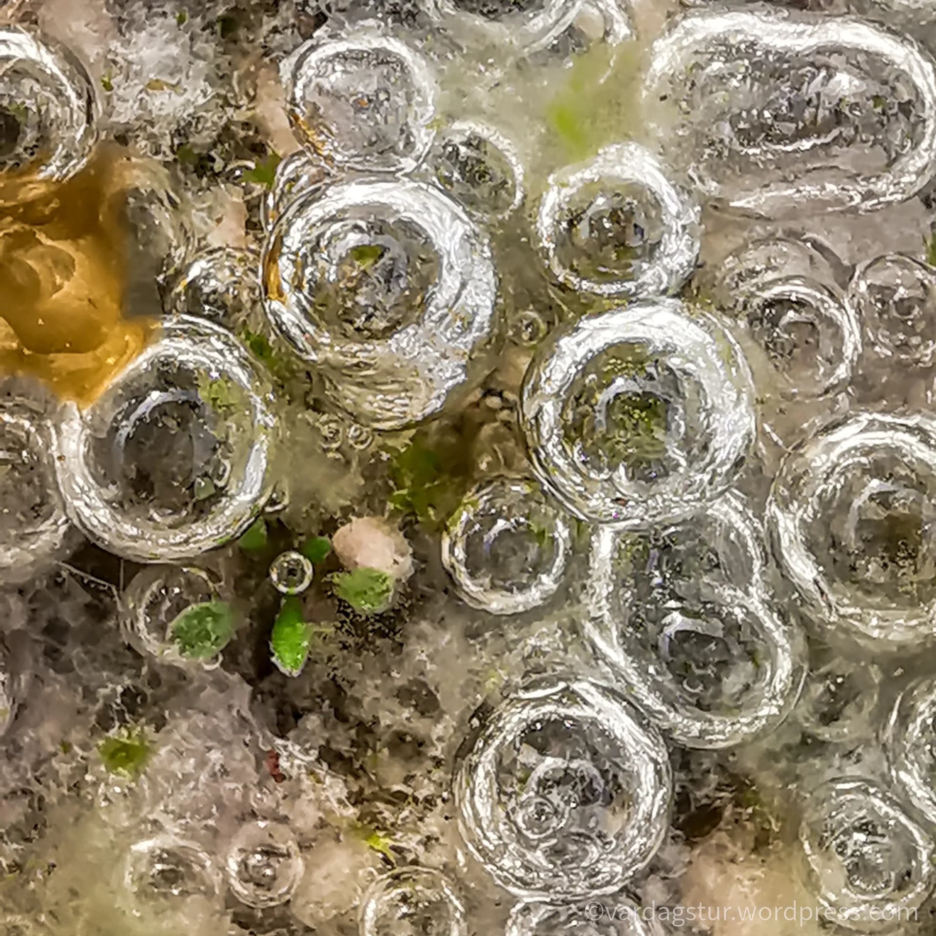 wp-16361358717205668587284577885059