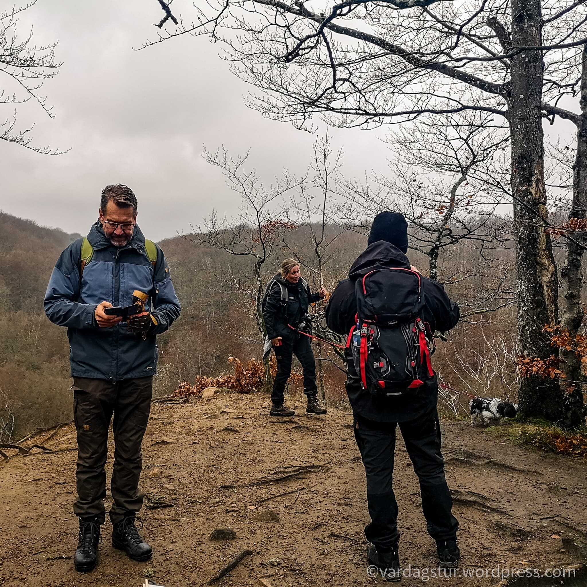 wp-16373497067124191870558858706816