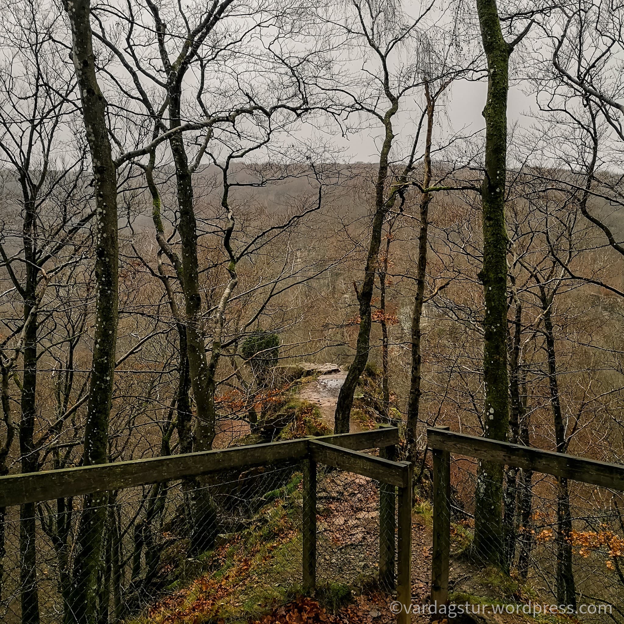 wp-16373497057156430281285998114487