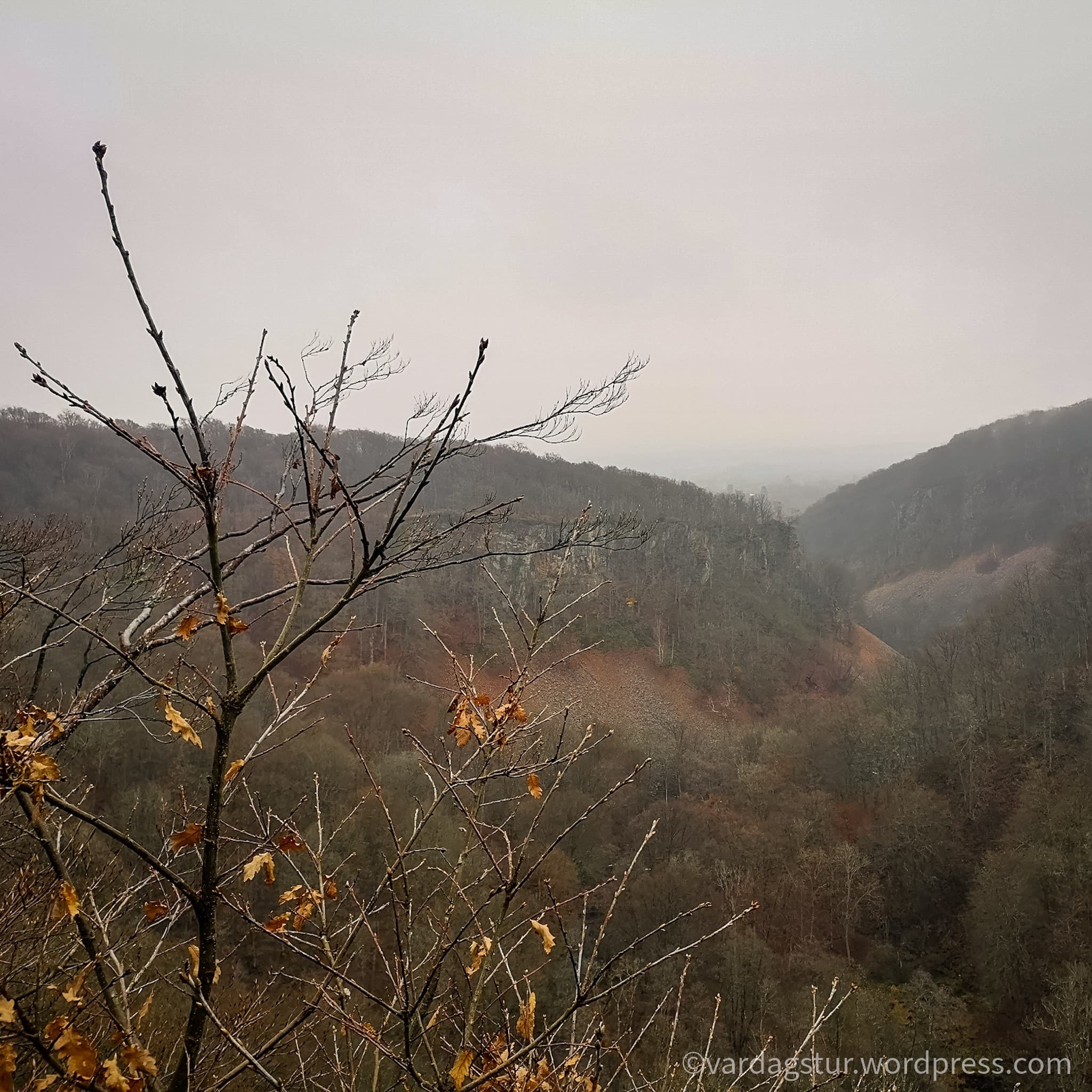 wp-16373497074323894646138941043035