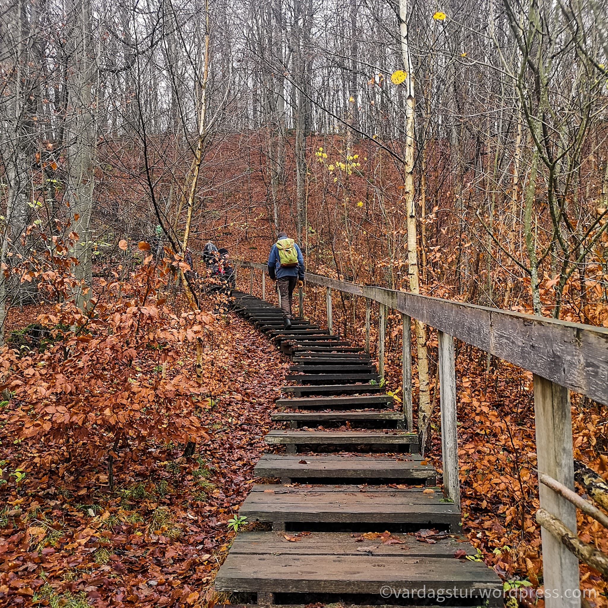 wp-16373497062864987959724073859710