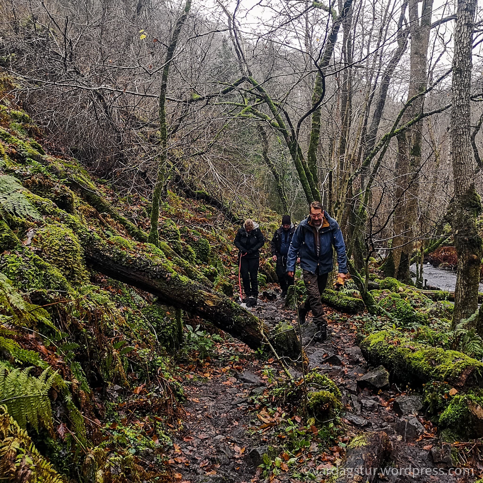 wp-16373497083877459190021611127254