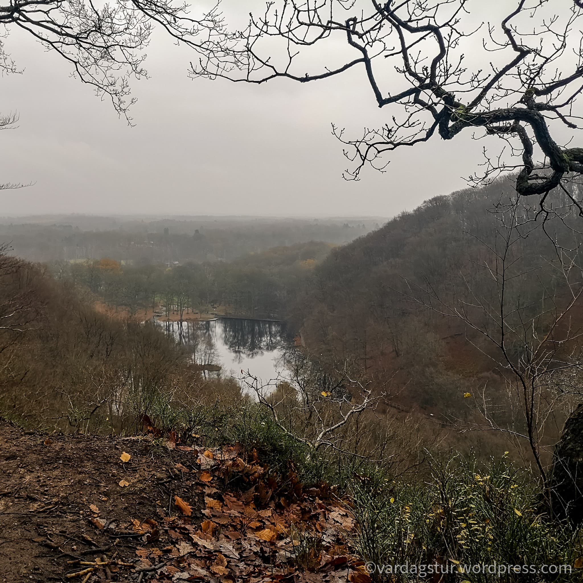 wp-1637349709696752247688552575861