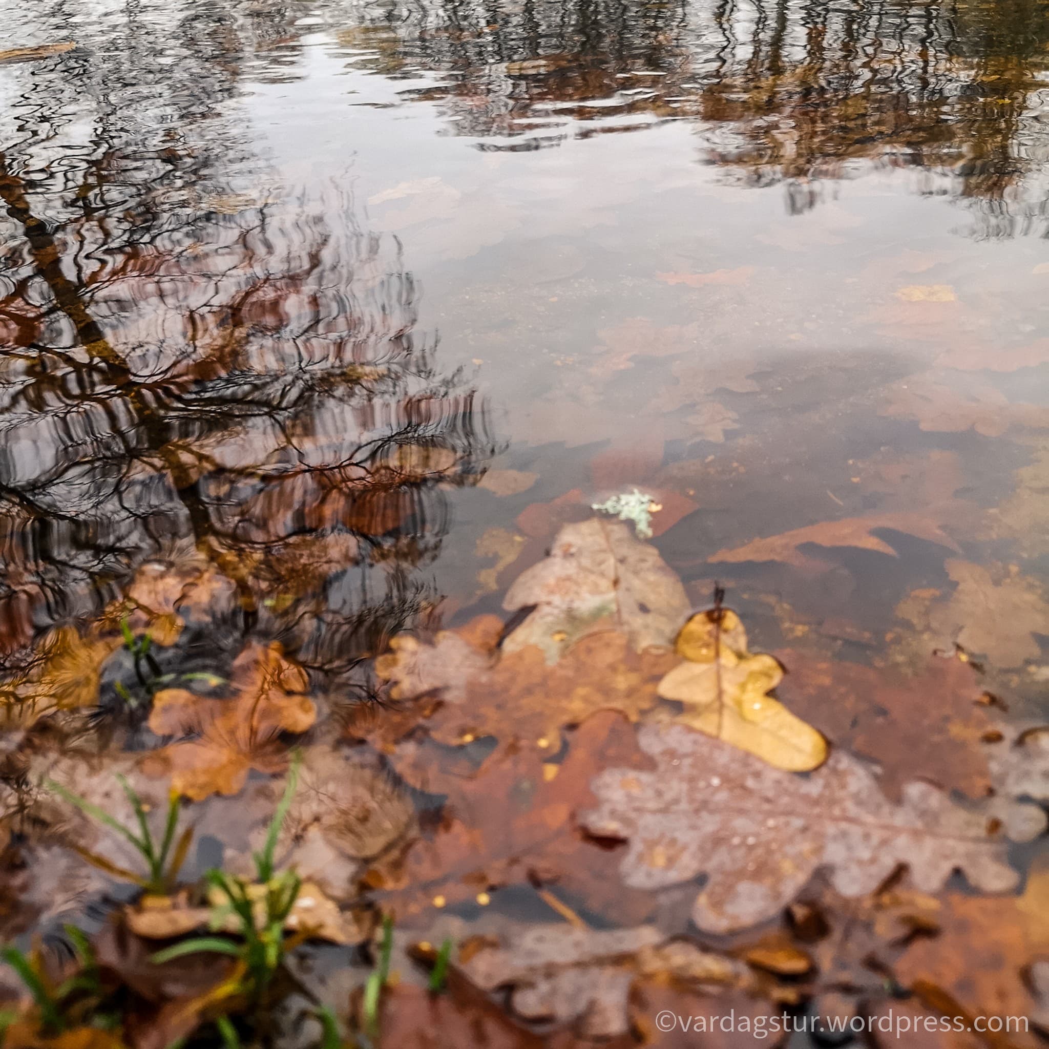 wp-16373497099735487021156780565079