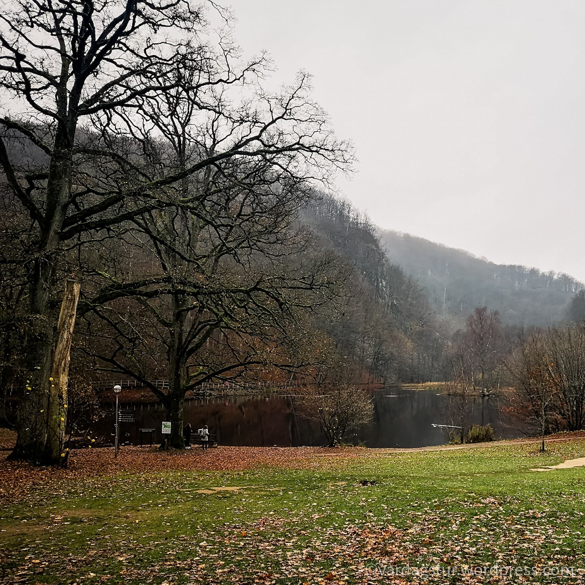 wp-16373497093205677604899172550469