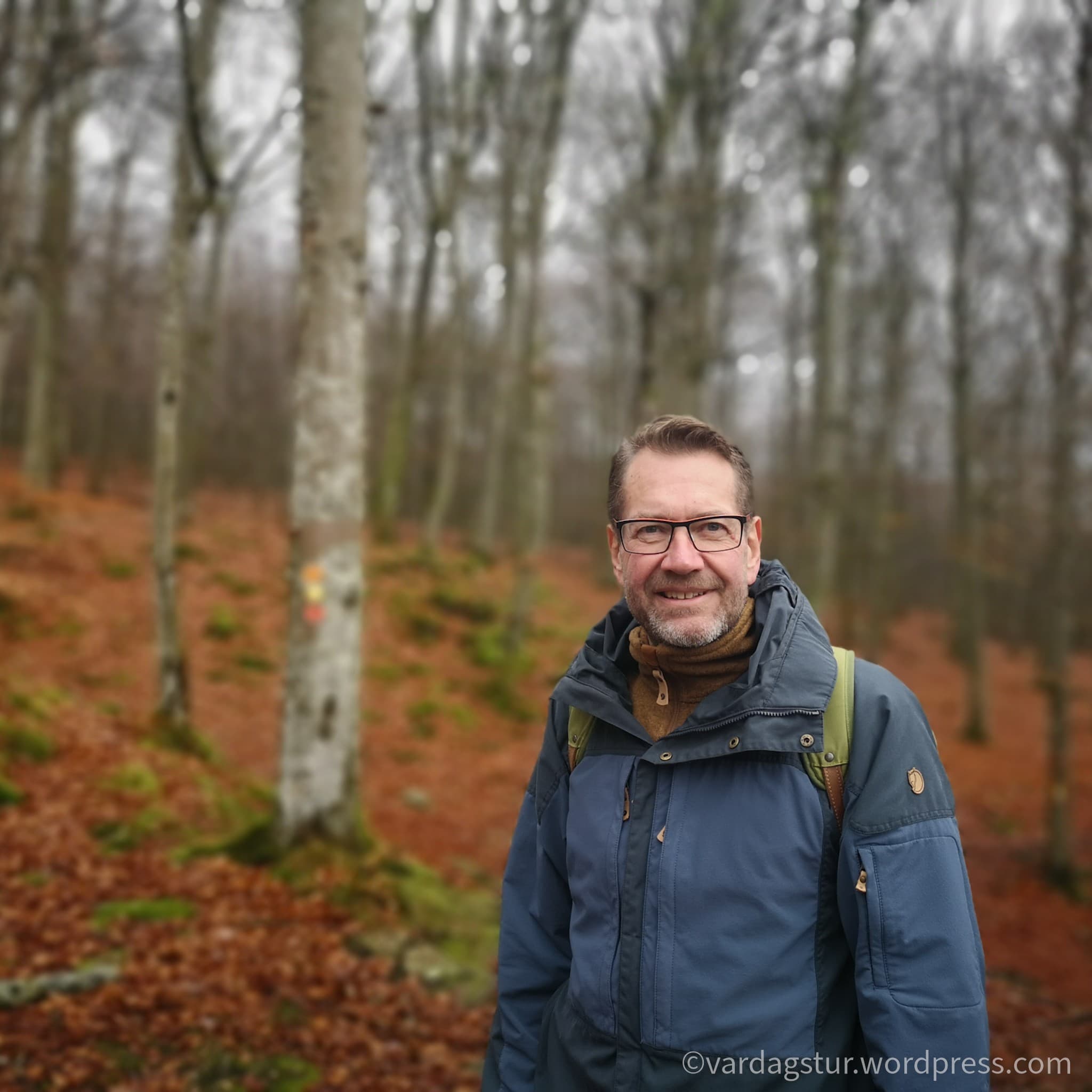 wp-16373497129274733620461479728915