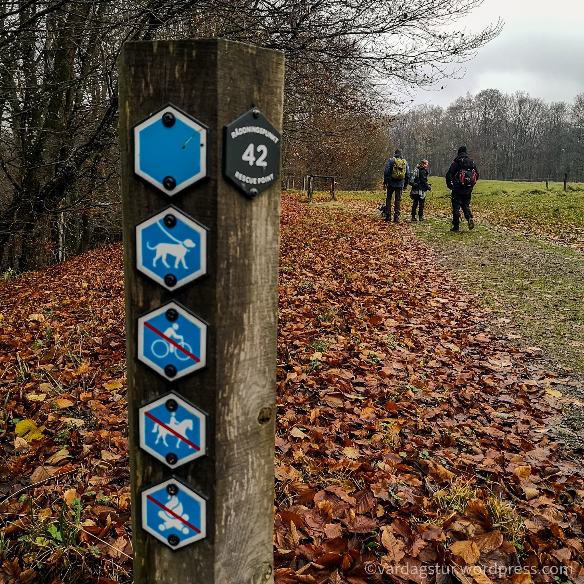 wp-16373497135962923062986946613432