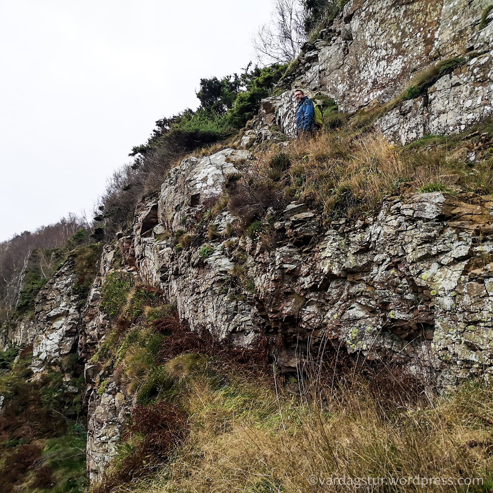 wp-16373562721055105017836176916929