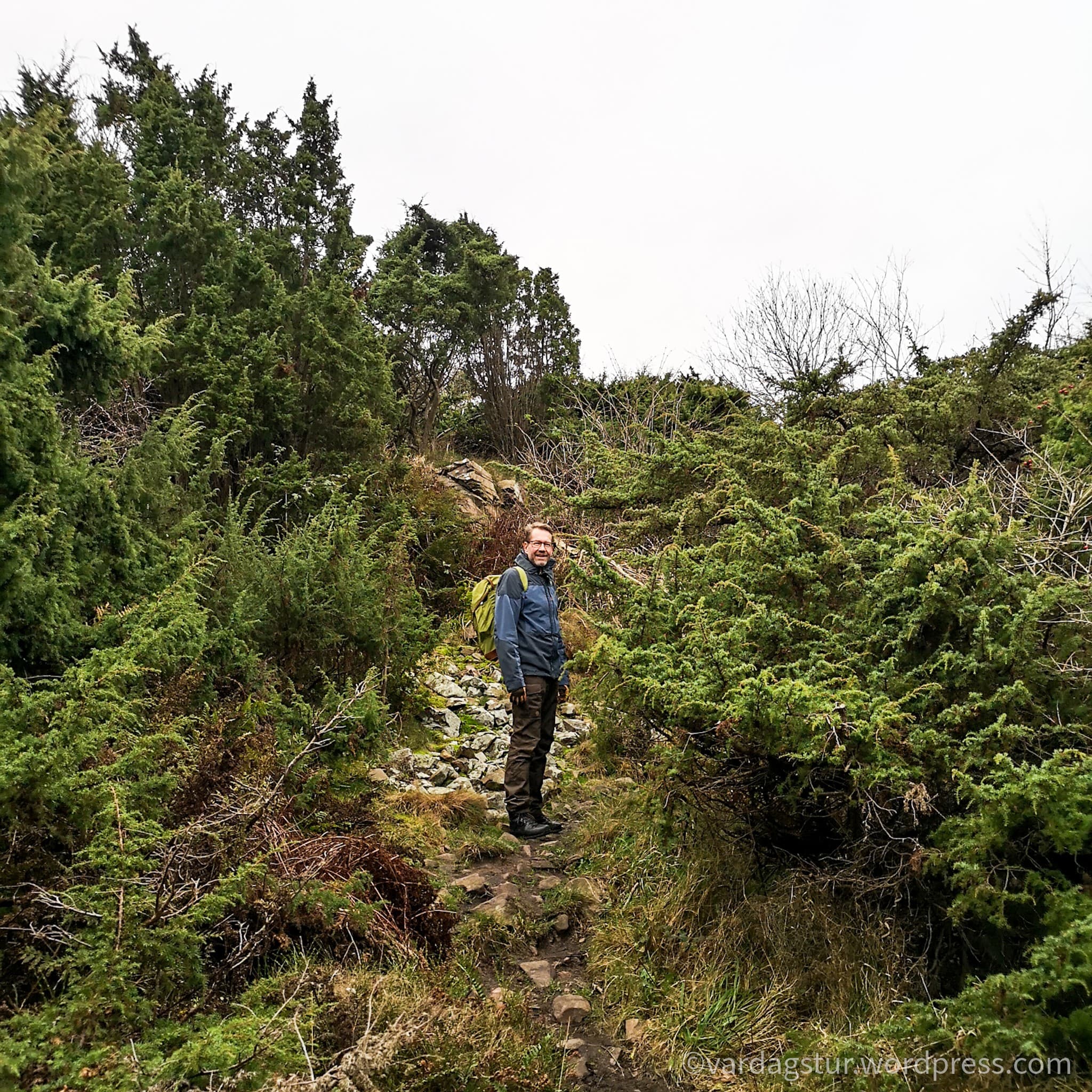 wp-16373562730167420411774921910993