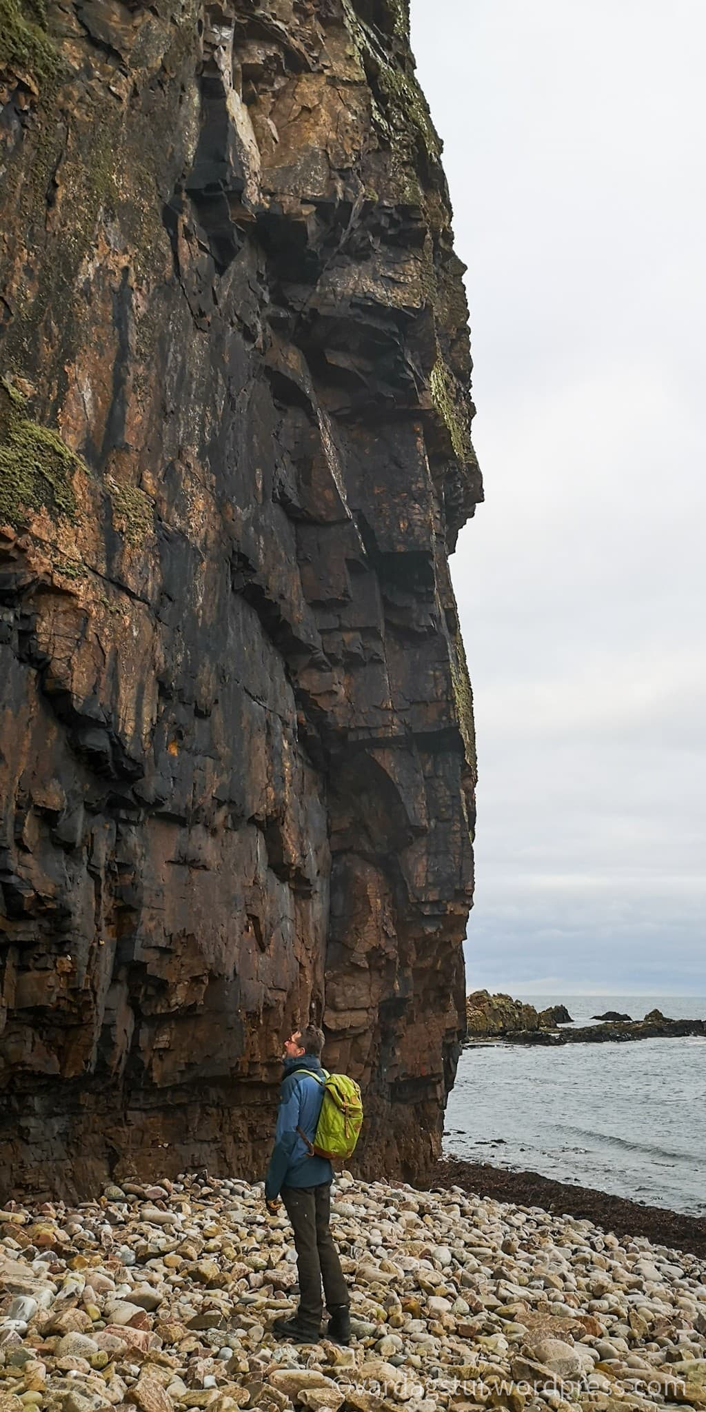 wp-16373562737828102141635572588967