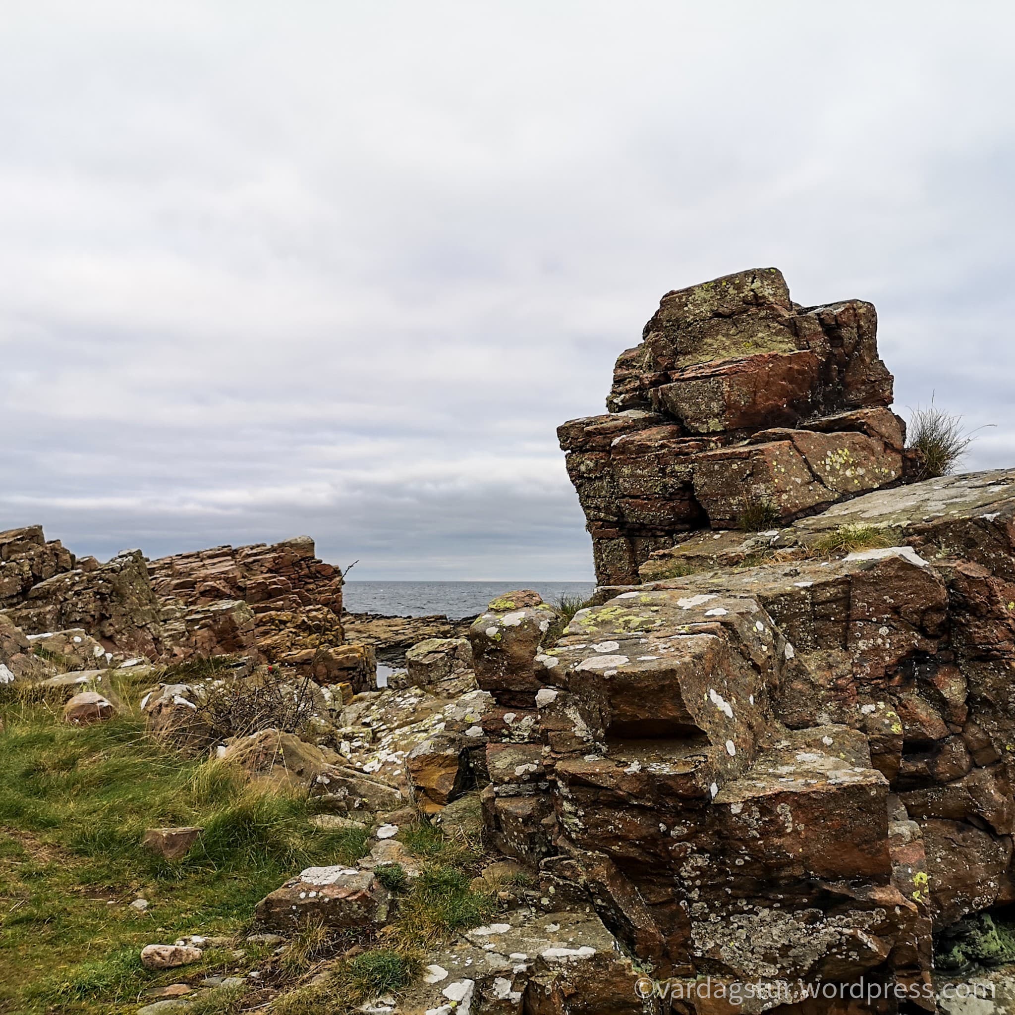 wp-16373562745692145897528135506532