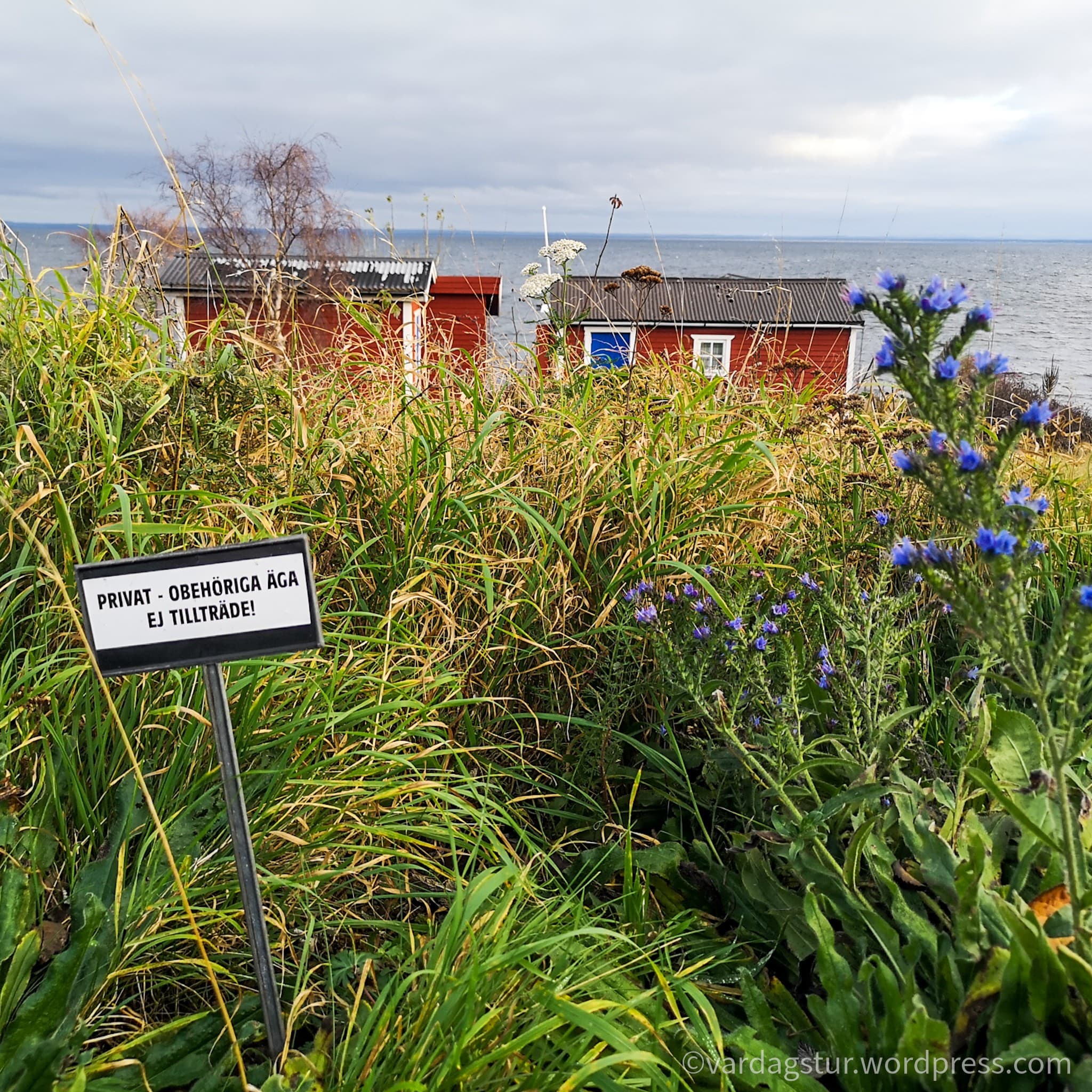 wp-16373562739075080825578176314715