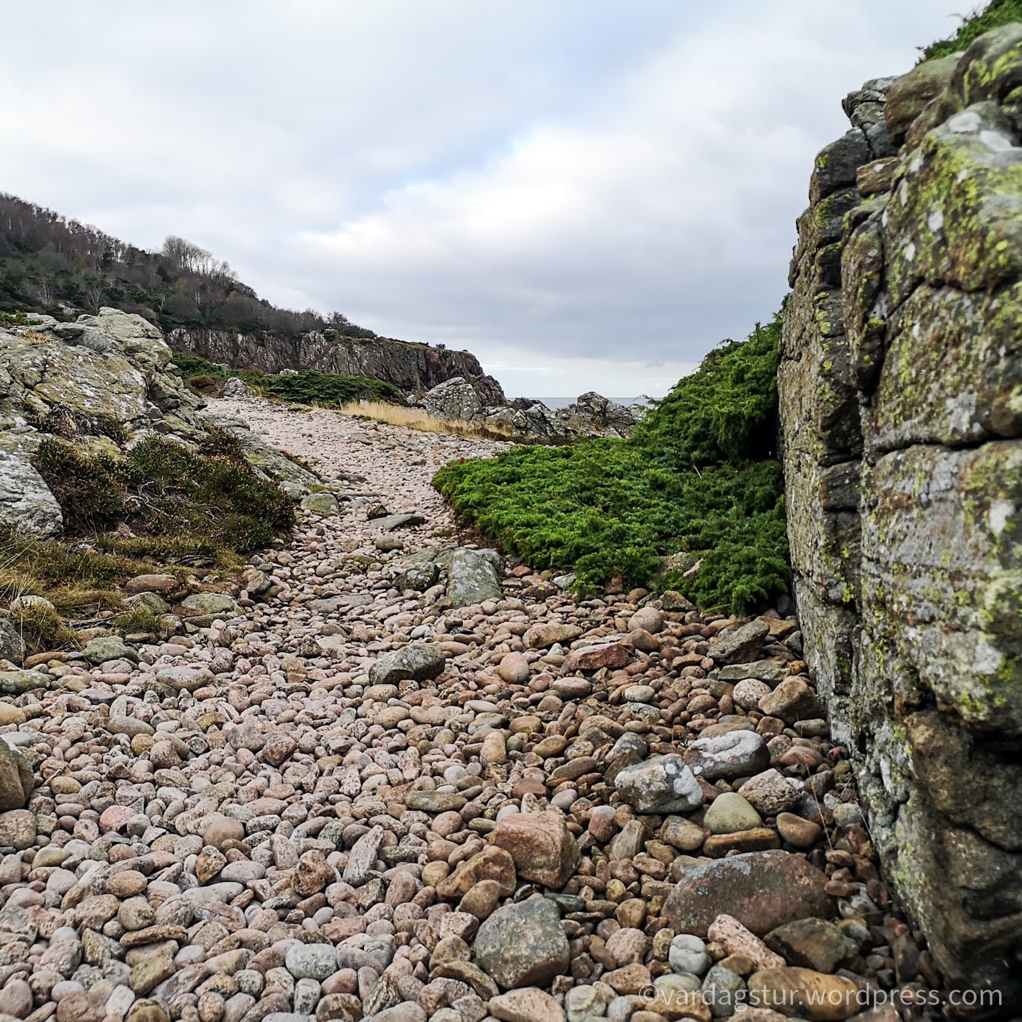 wp-16373562754623507923090473098070