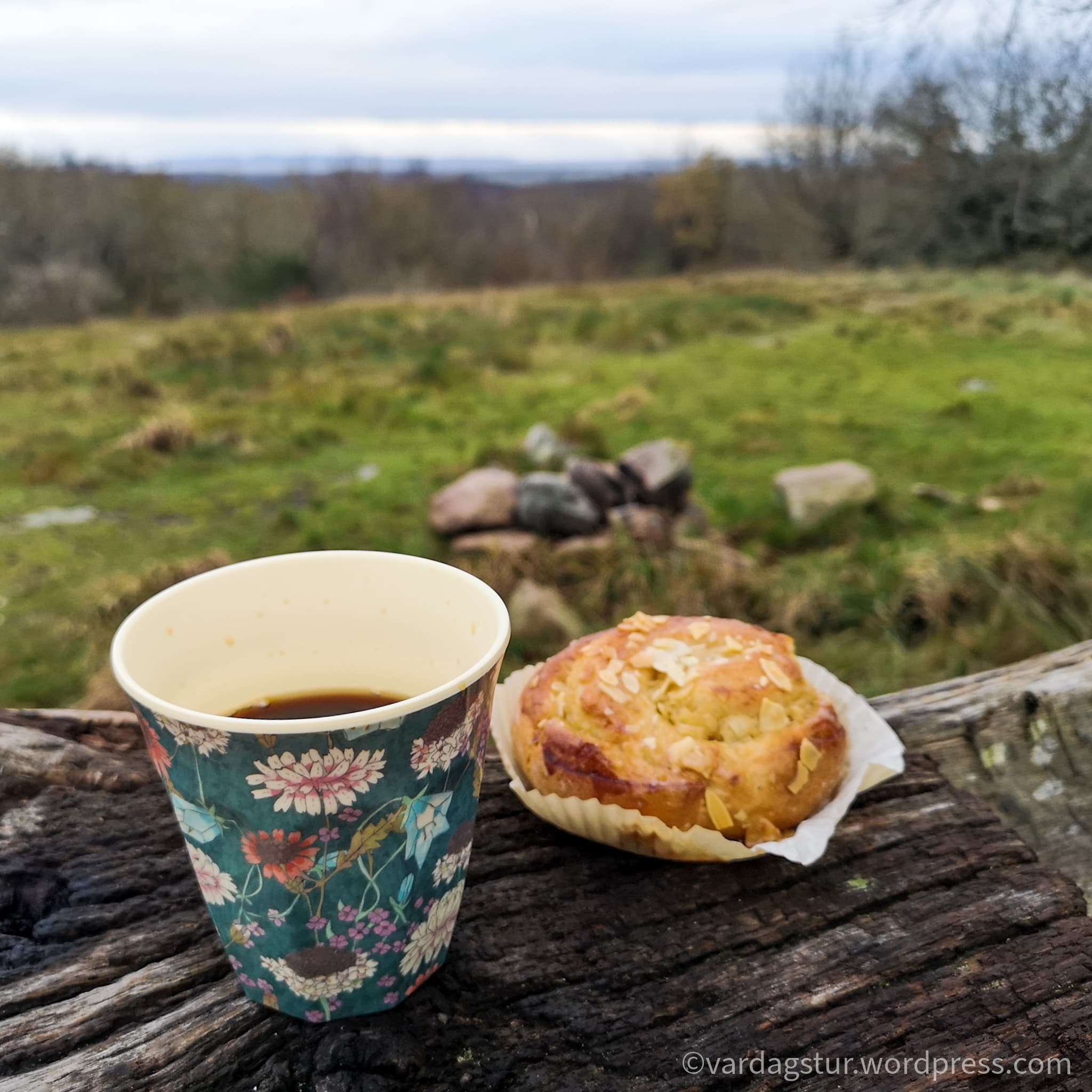 wp-16373566596688969229725653856815