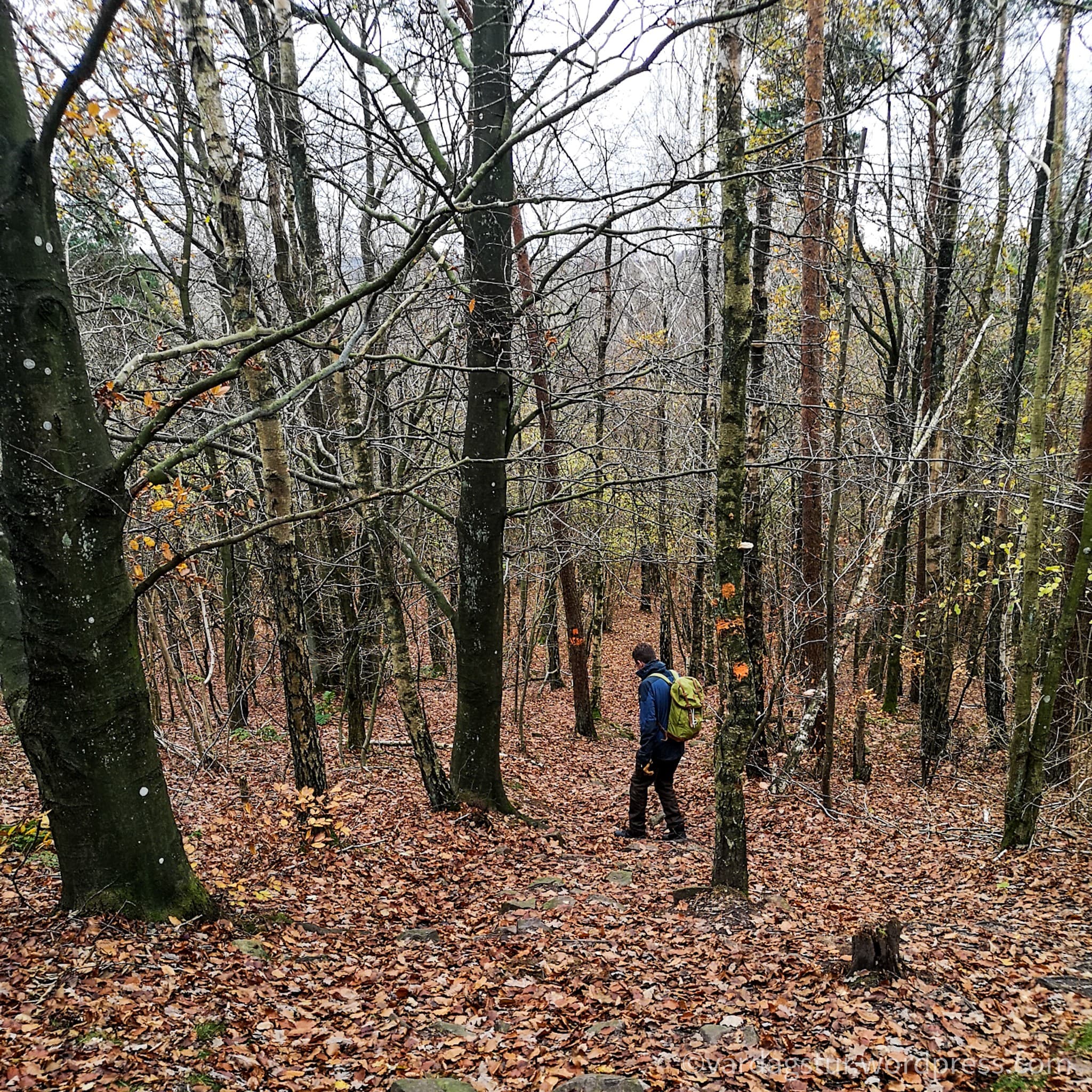 wp-16373566606974279558466596171593