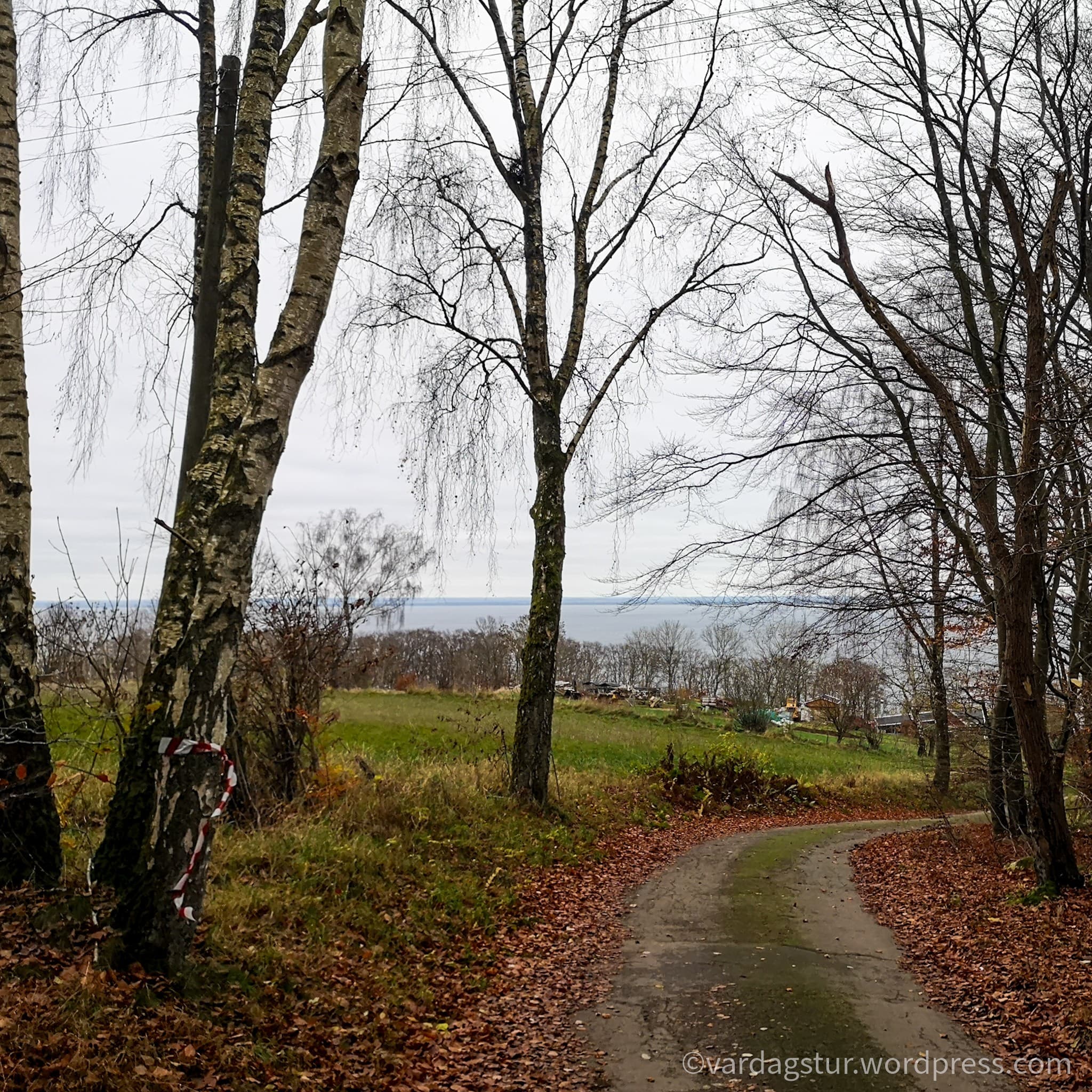 wp-16373566632941835063663275280961