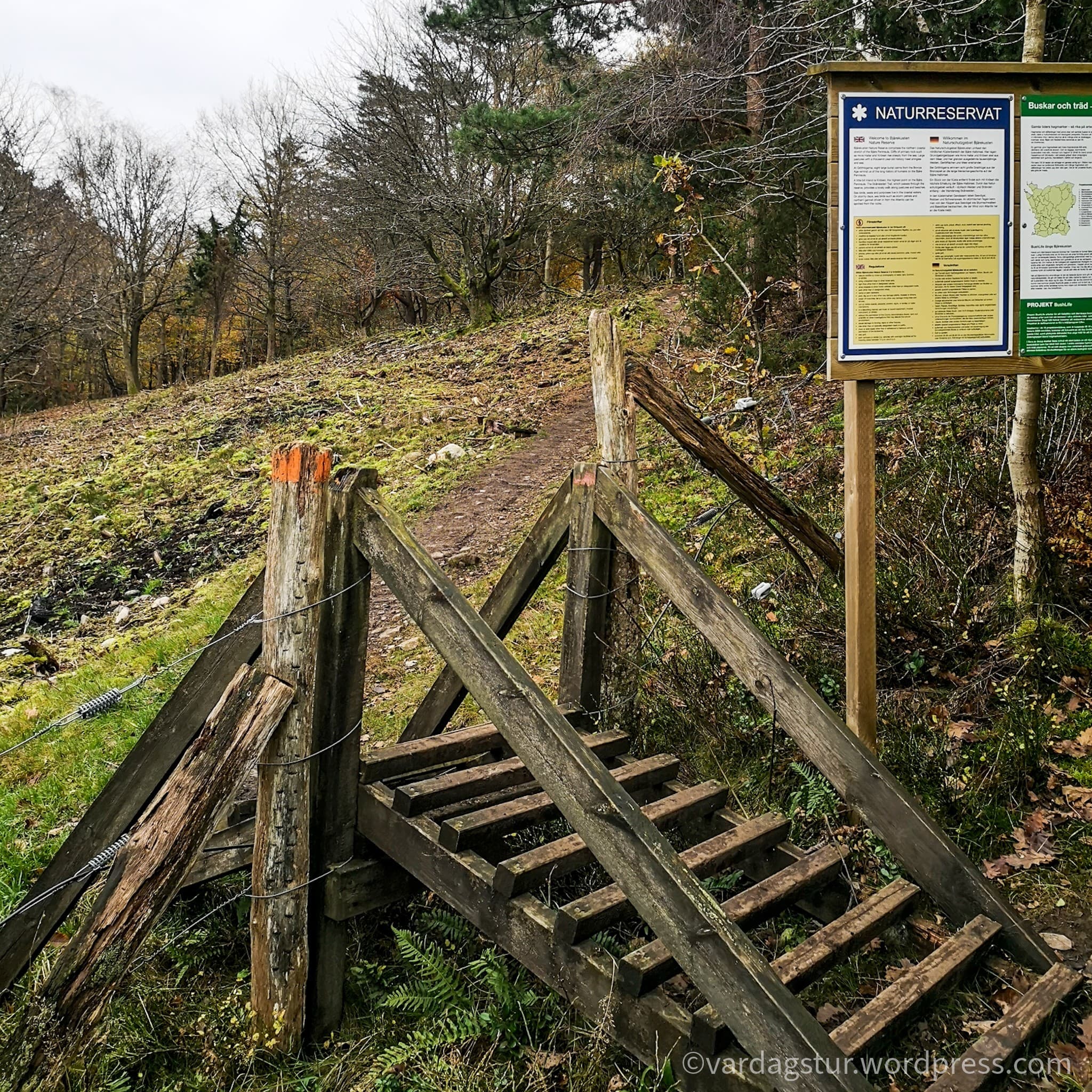 wp-16373566623467970965089730516816