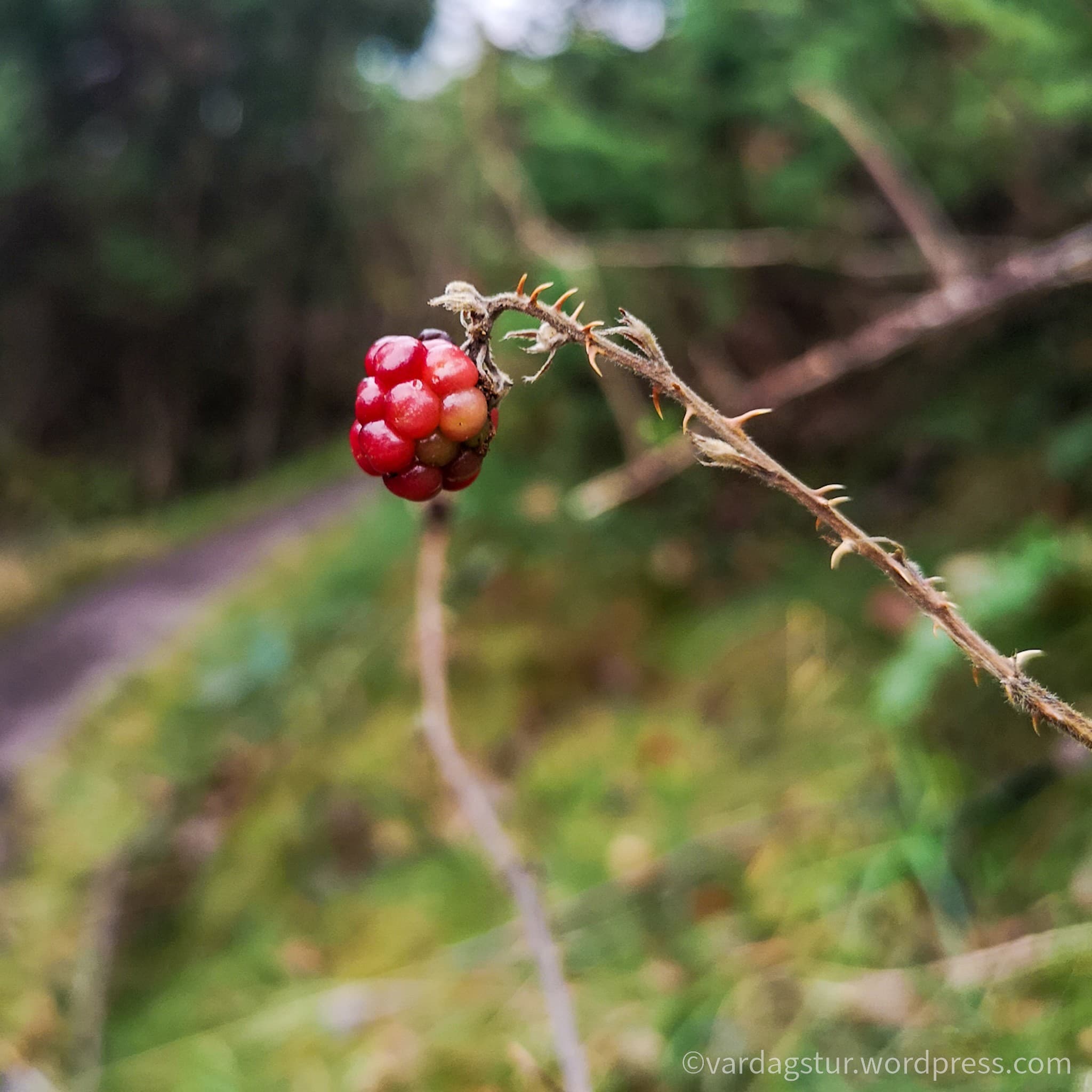 wp-16373566640824174987821445046650