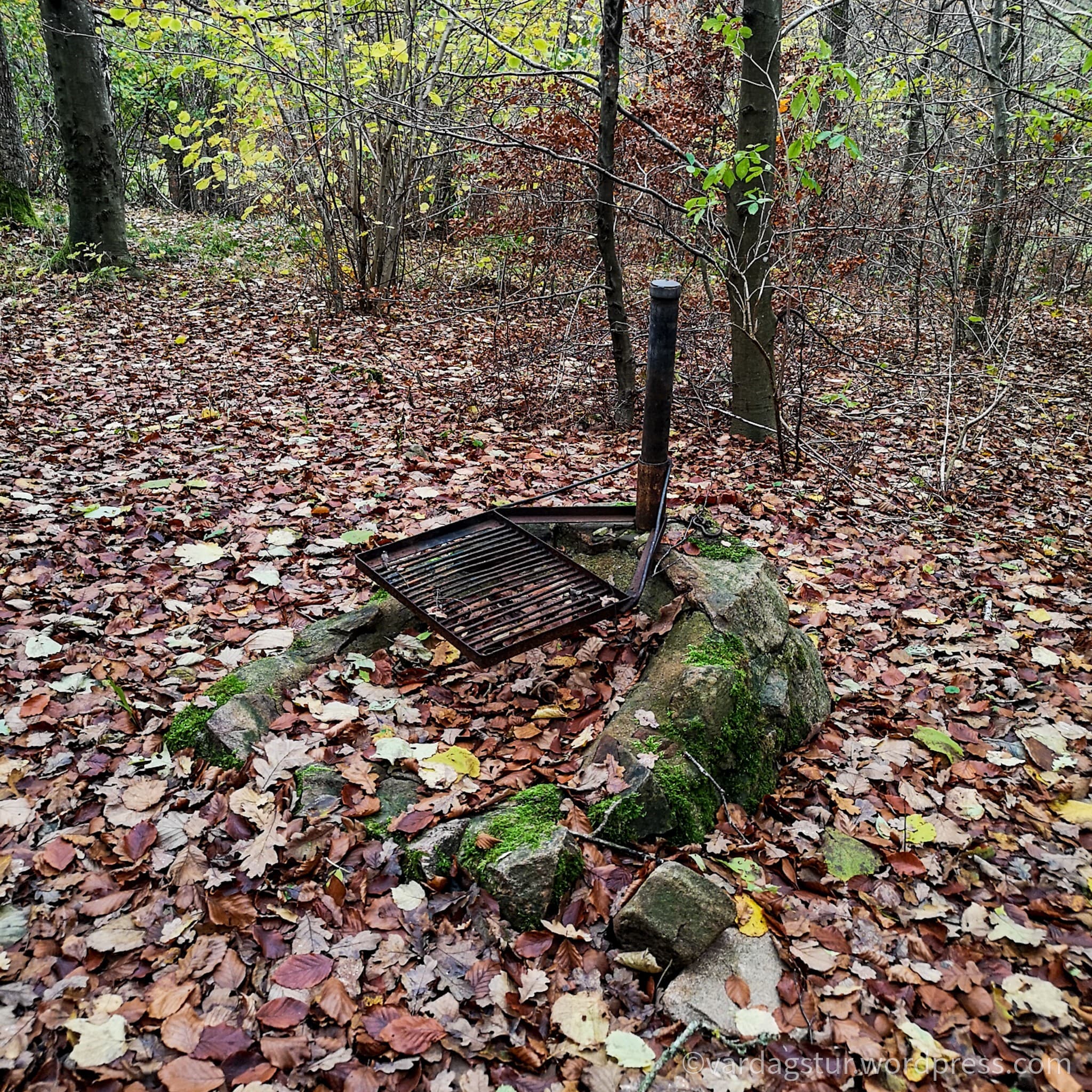 wp-16373566637778415095919118542478