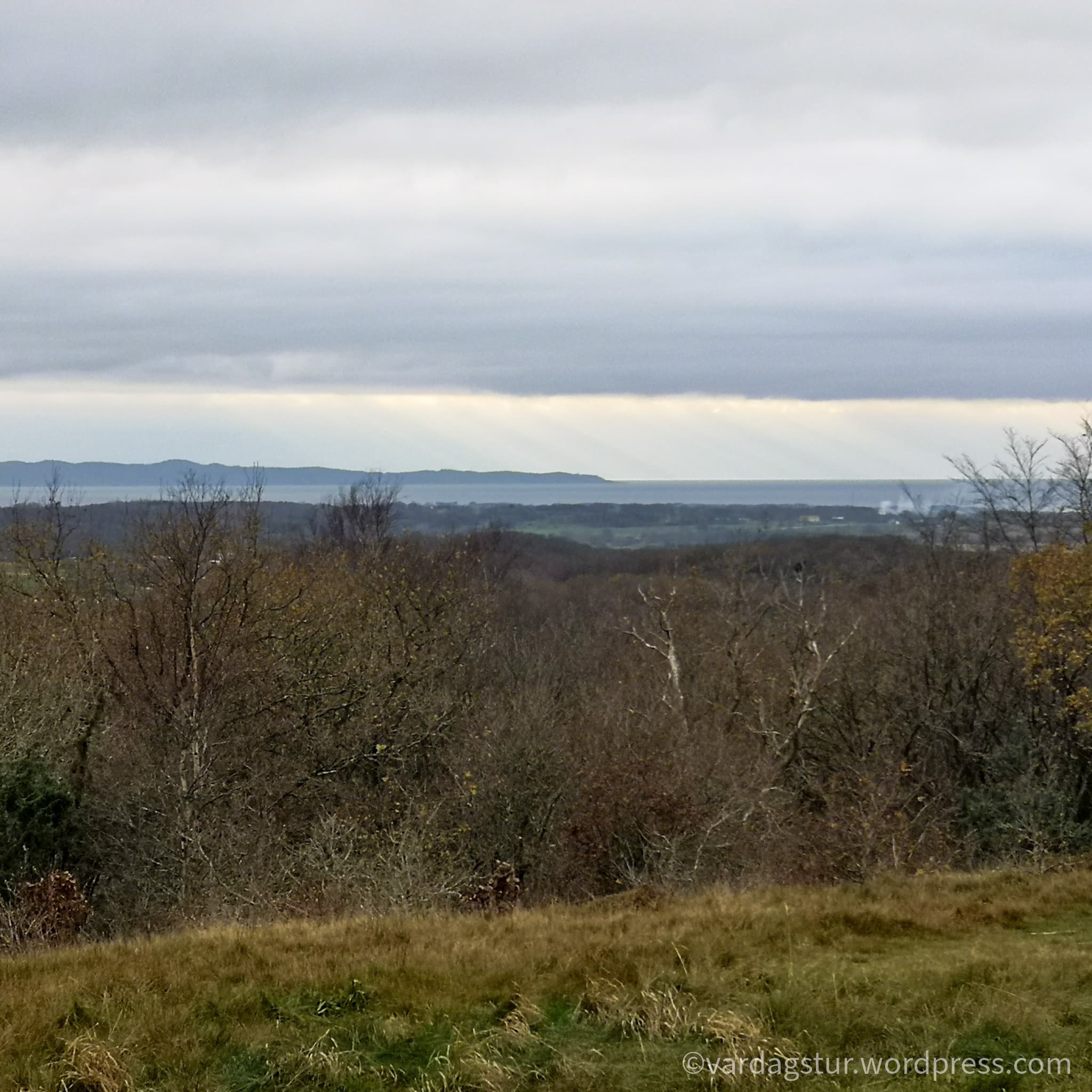 wp-16373566646541933948729969266332