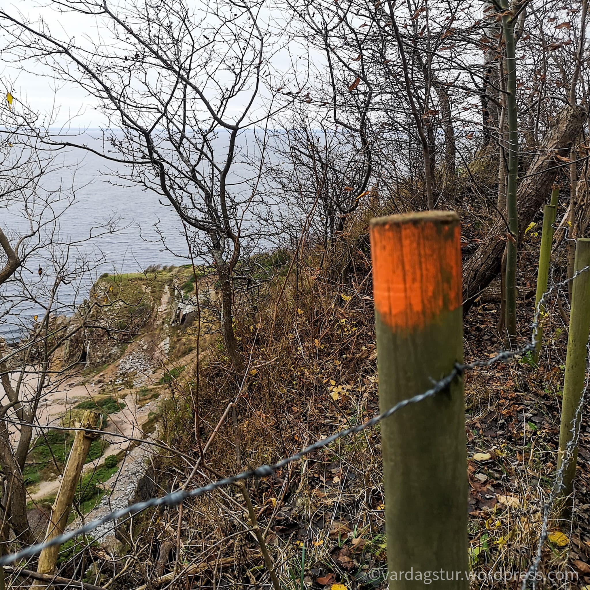 wp-16373566658111695987654629274919