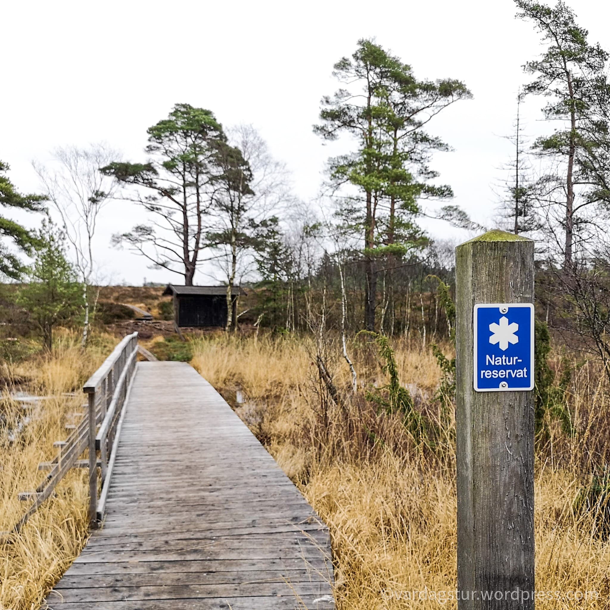 wp-16373576439602871675789999185620