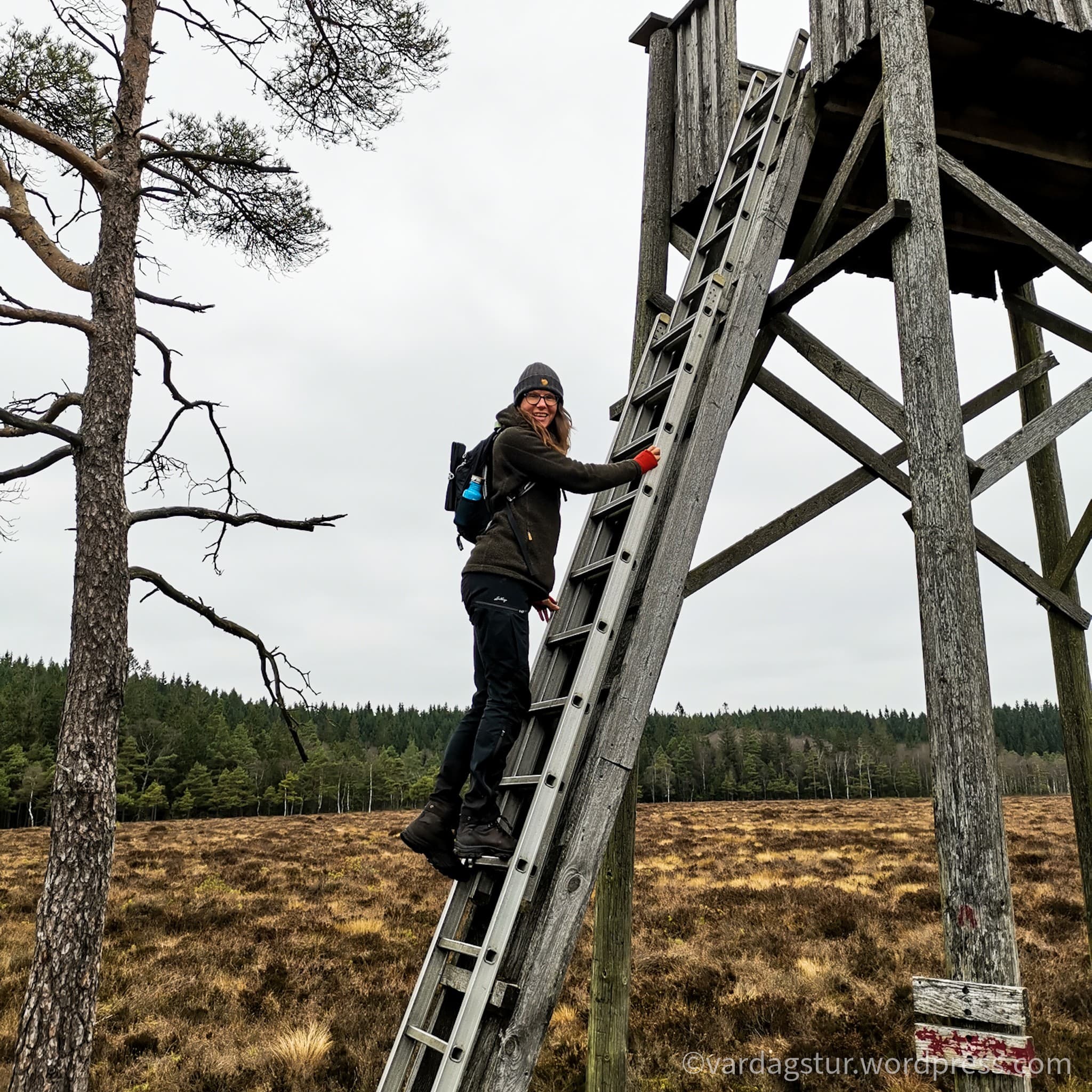 wp-16373576457992841247367078351076