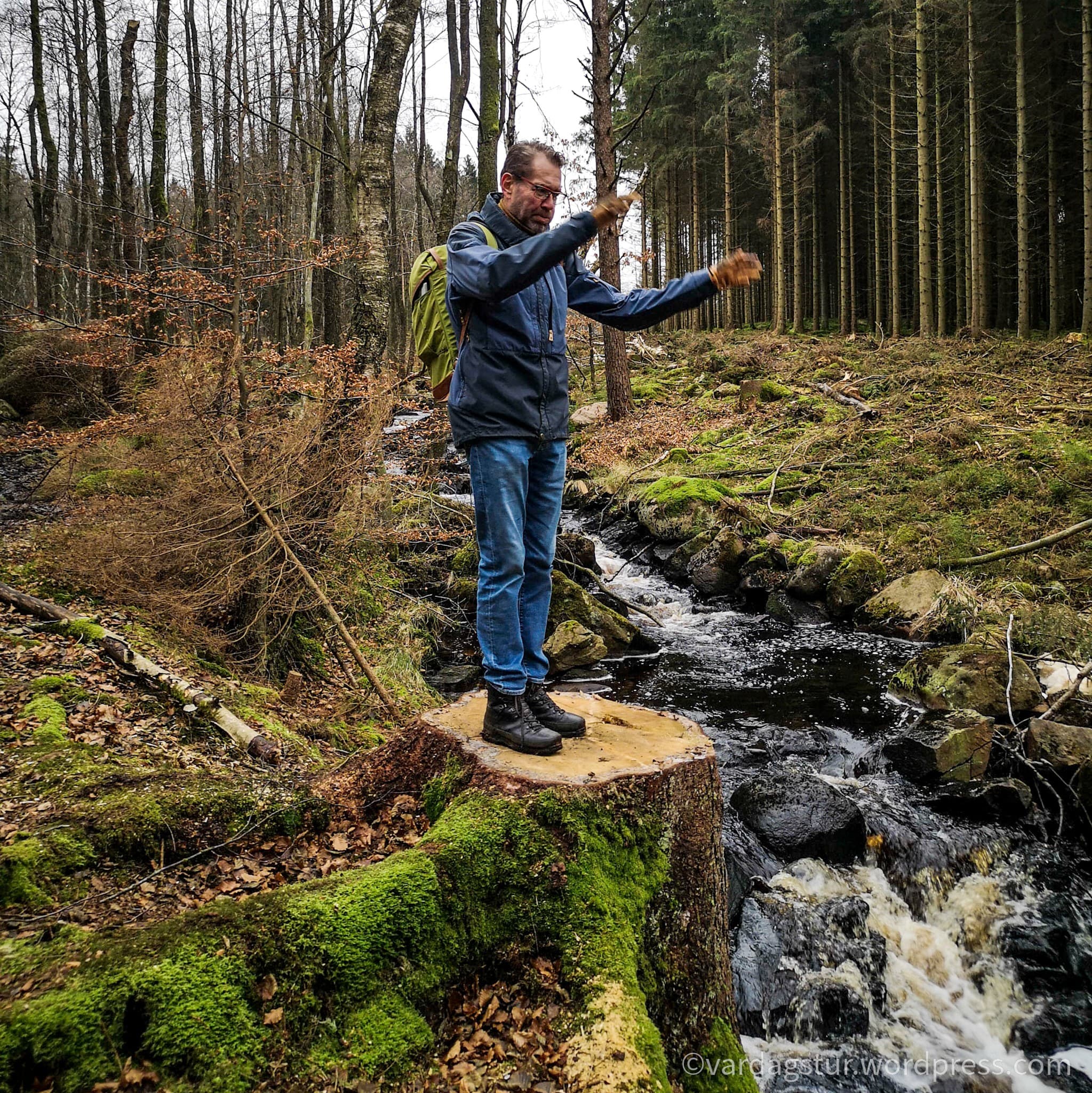 wp-16373576455117962541687409387886