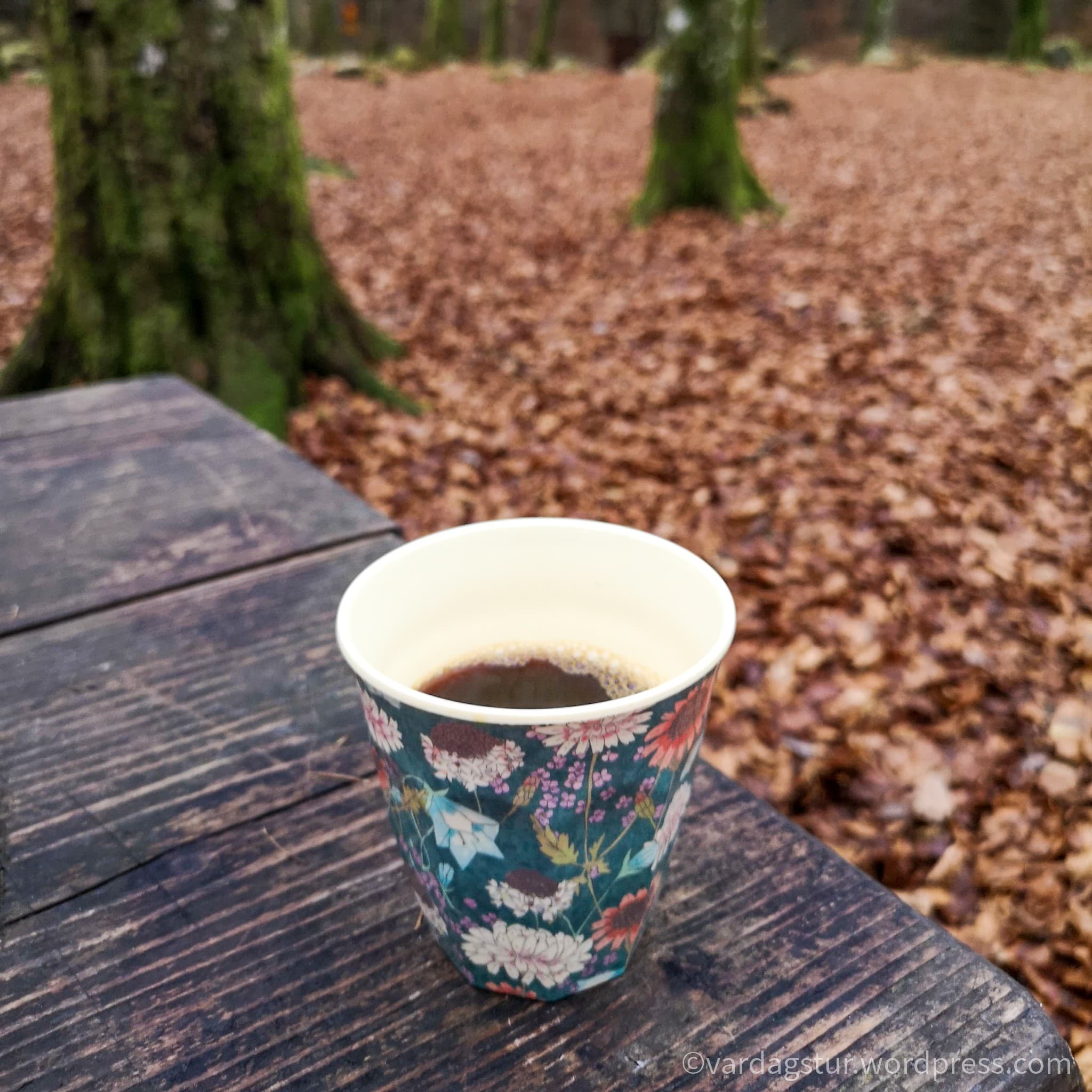 wp-16373576466085879050611167949826