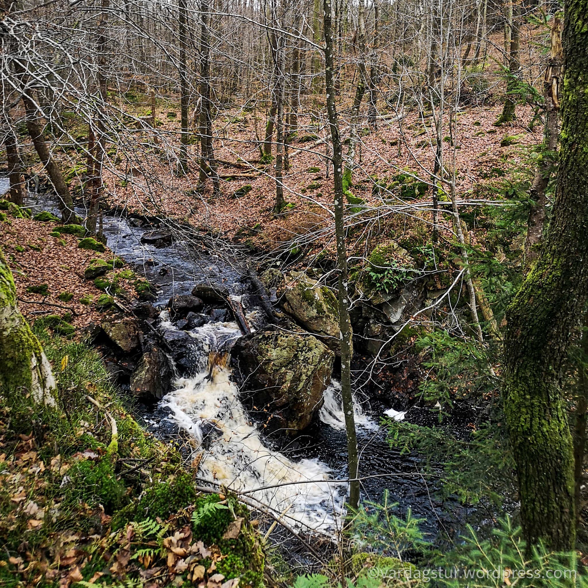 wp-16373576460312707085965396727048