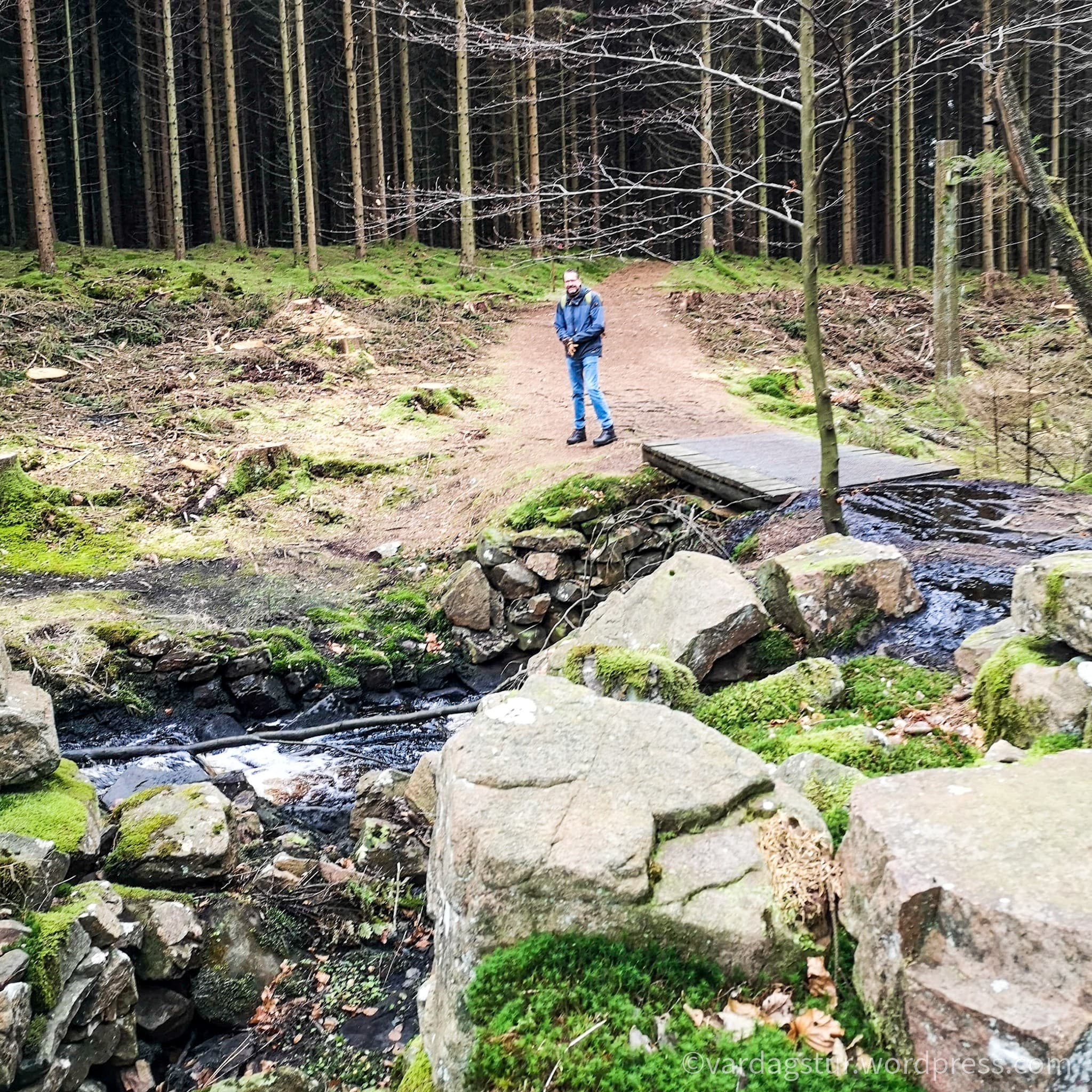 wp-16373576474324411768582850253930