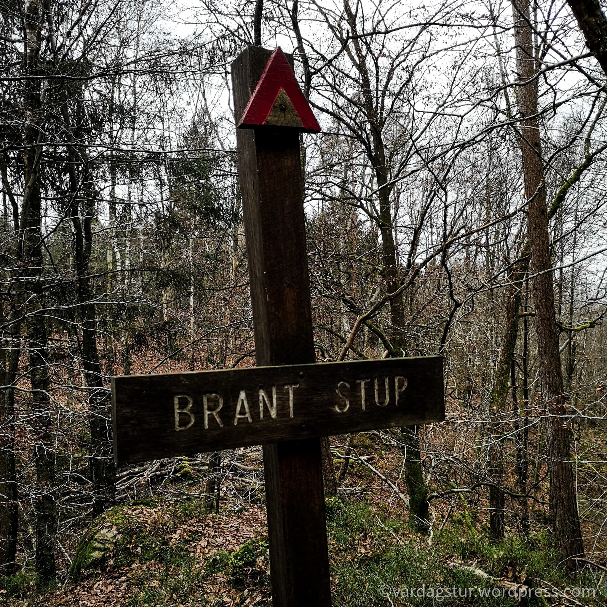 wp-16373576470648426691759524458390