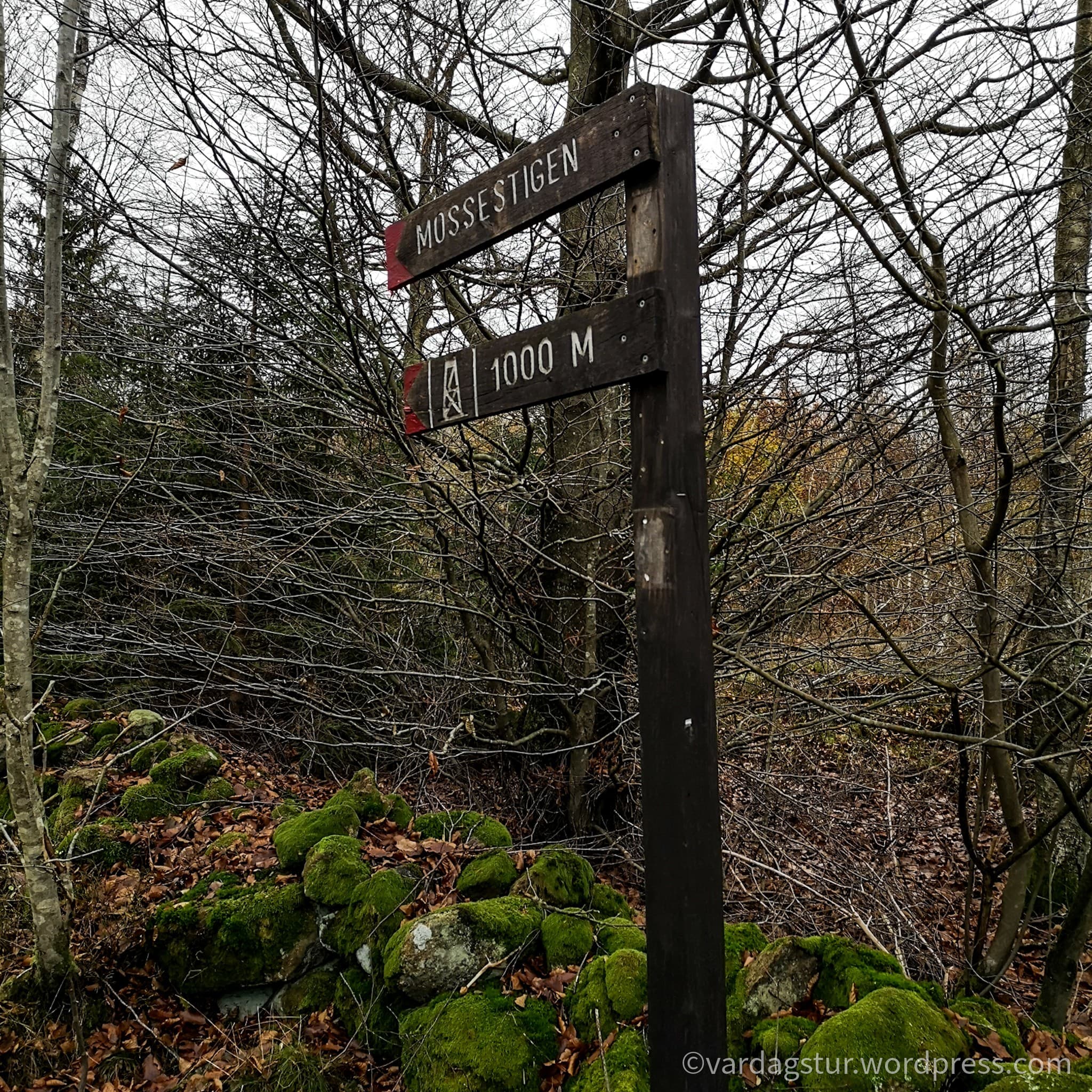 wp-16373576479973204189751993548185