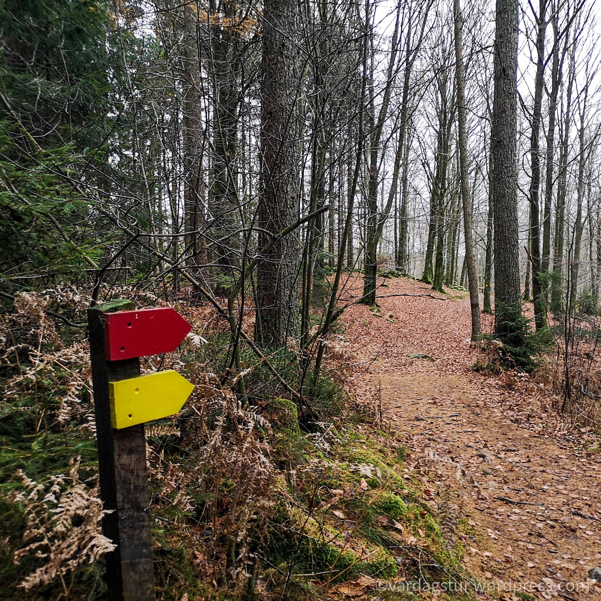 wp-16373576488042981339069150011258