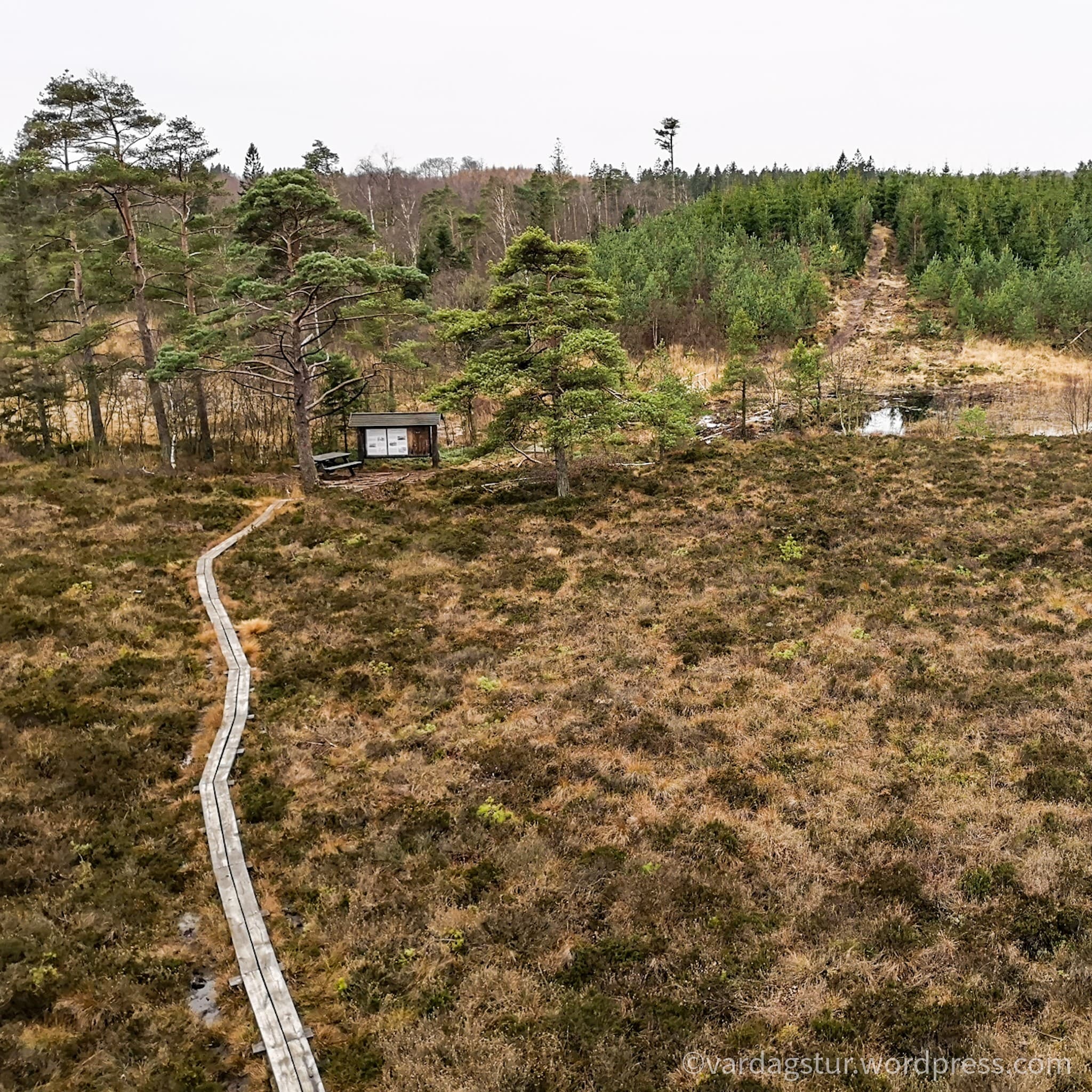 wp-16373576505648426804405924128268