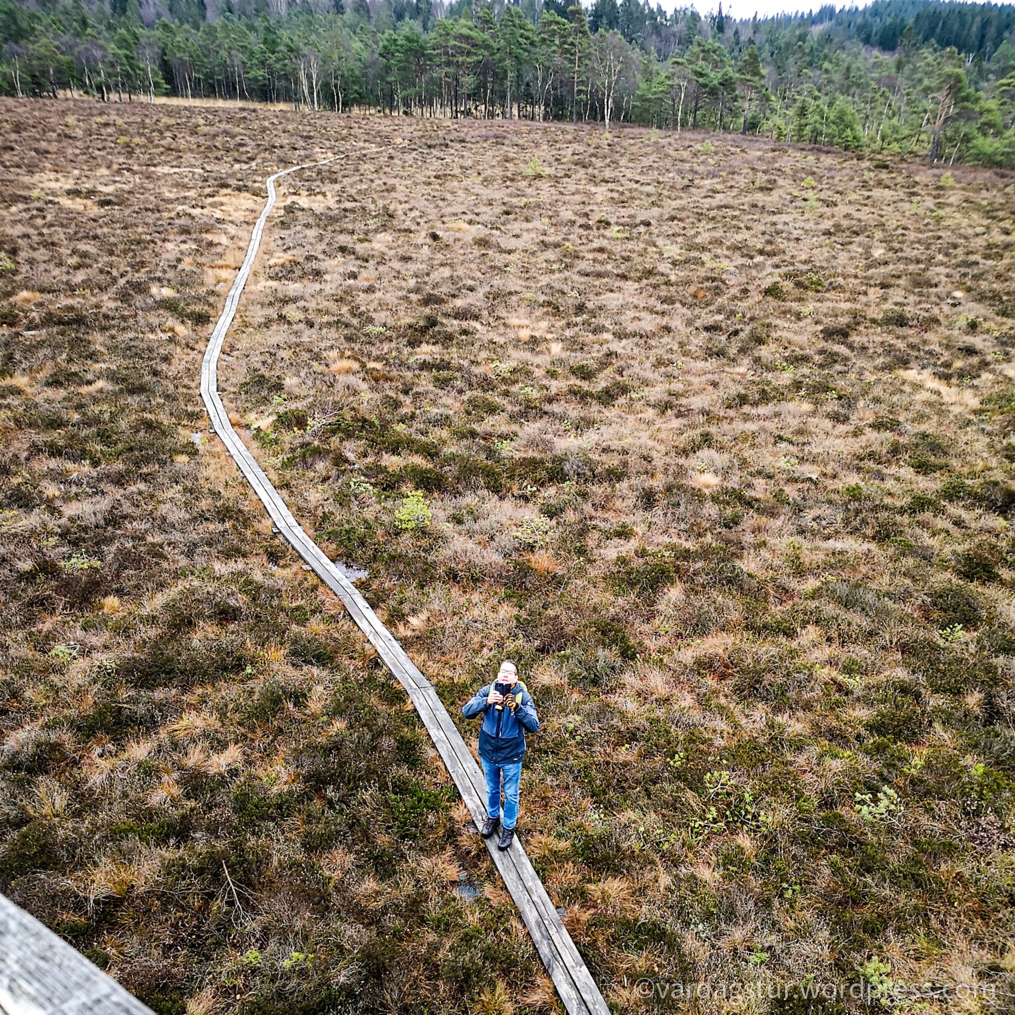 wp-16373576501208563422171584538641